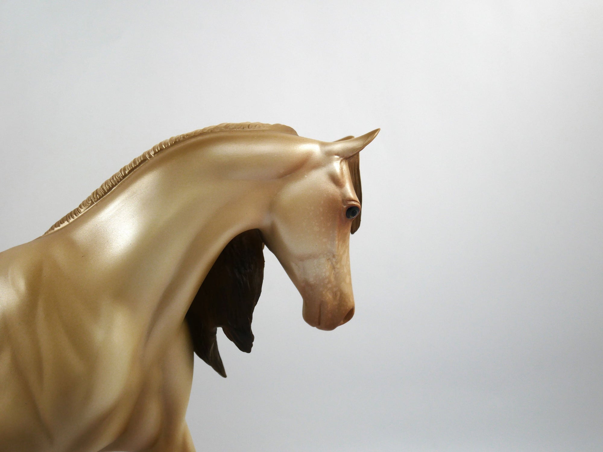 Fumble-LE-7 Champagne Pony SB21