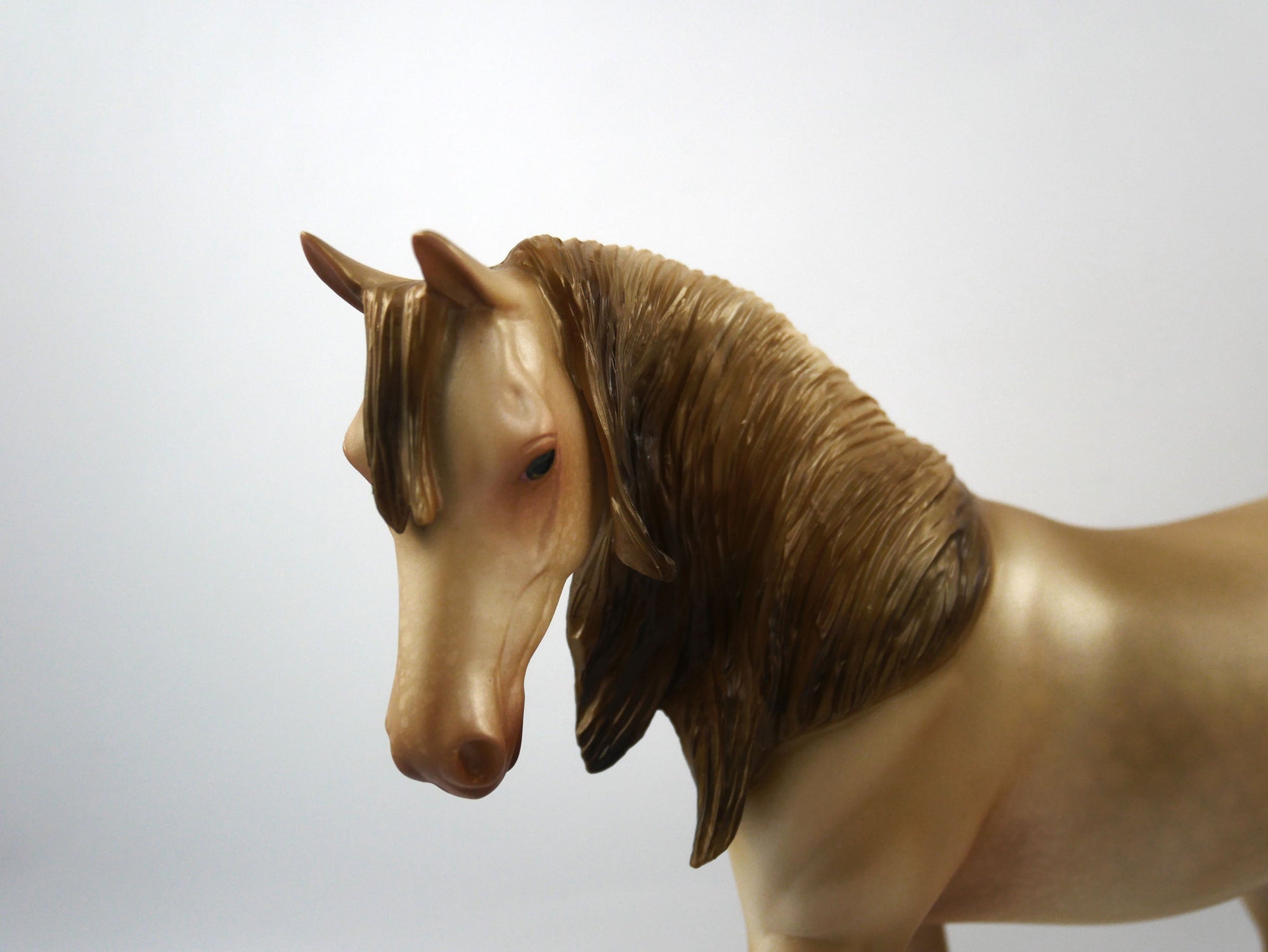 Fumble-LE-7 Champagne Pony SB21