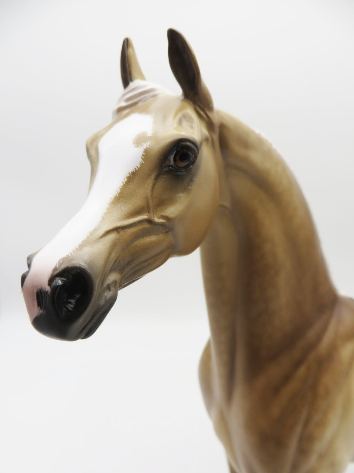 FUNKY LOW DOWN - PALOMINO ARAB STALLION - OOAK - CUSTOM - PAINTED BY SHERYL LEISURE - BEST OFFER 10/14/2022