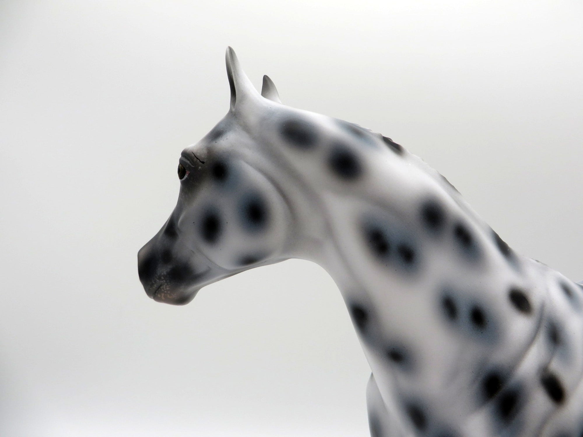 Funnel Cloud-OOAK Appaloosa ISH SHCF 2021