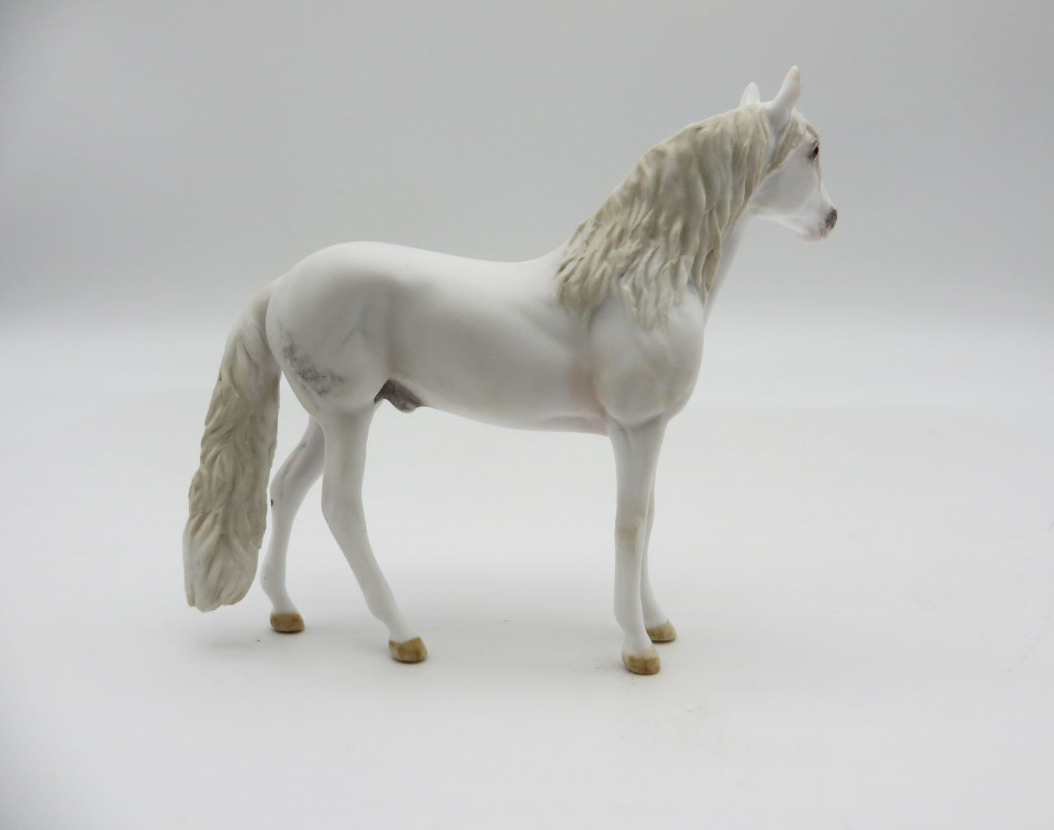 GLACIER - OOAK Dapple Grey Andalusian Chip LHS 22