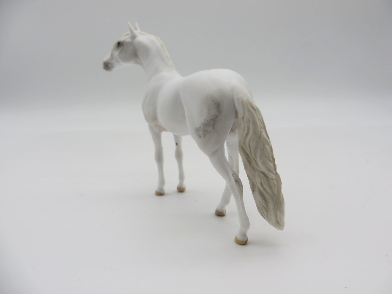 GLACIER - OOAK Dapple Grey Andalusian Chip LHS 22