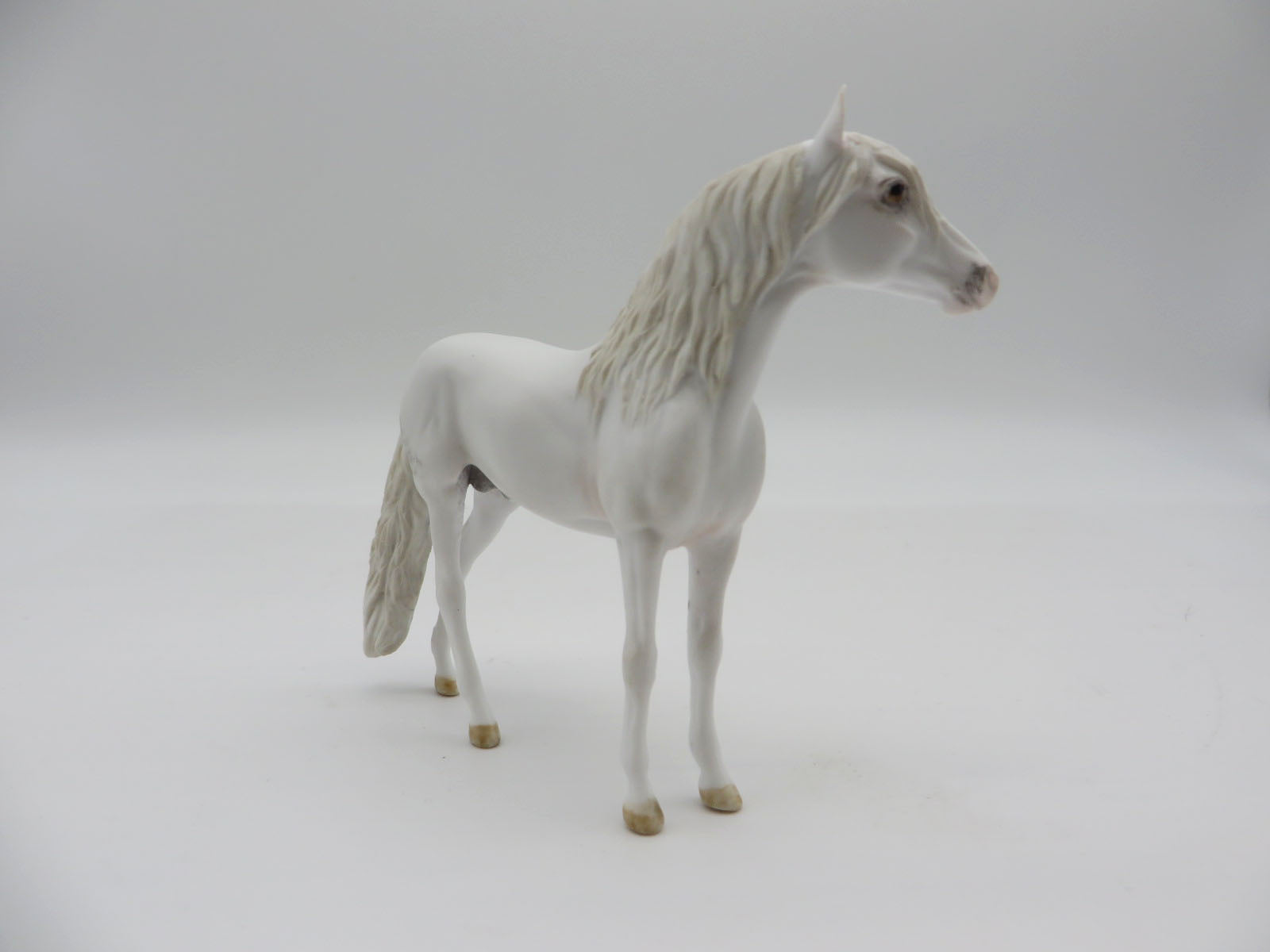 GLACIER - OOAK Dapple Grey Andalusian Chip LHS 22