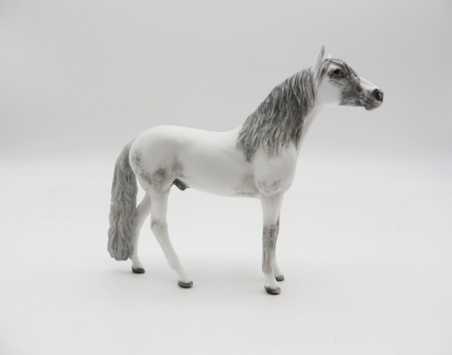 GRANDTETON  - OOAK Dapple Grey Andalusian Chip LHS 22