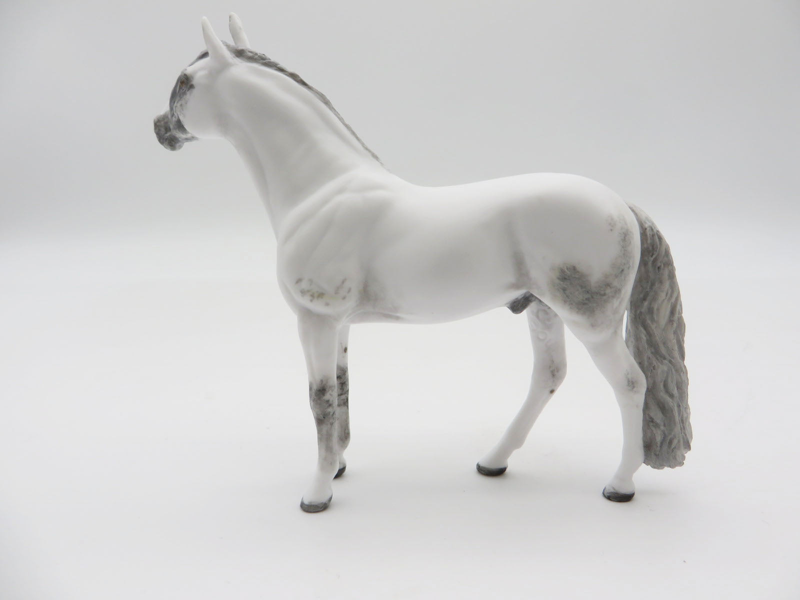 GRANDTETON  - OOAK Dapple Grey Andalusian Chip LHS 22