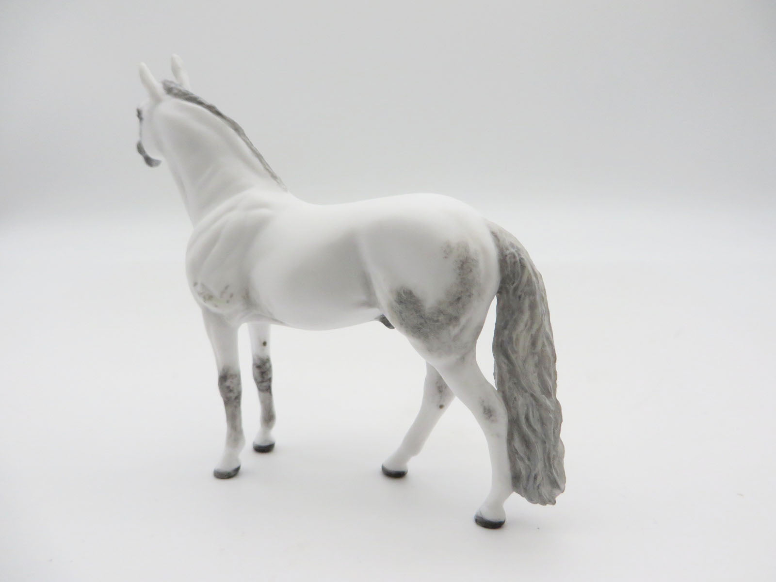 GRANDTETON  - OOAK Dapple Grey Andalusian Chip LHS 22
