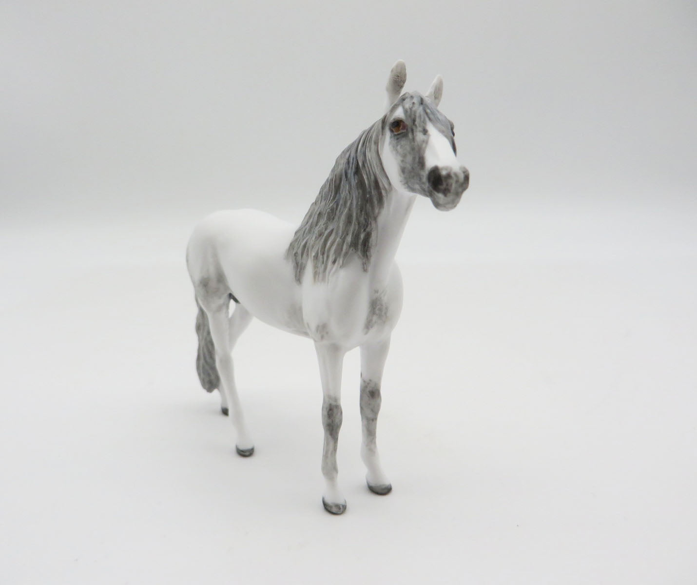 GRANDTETON  - OOAK Dapple Grey Andalusian Chip LHS 22