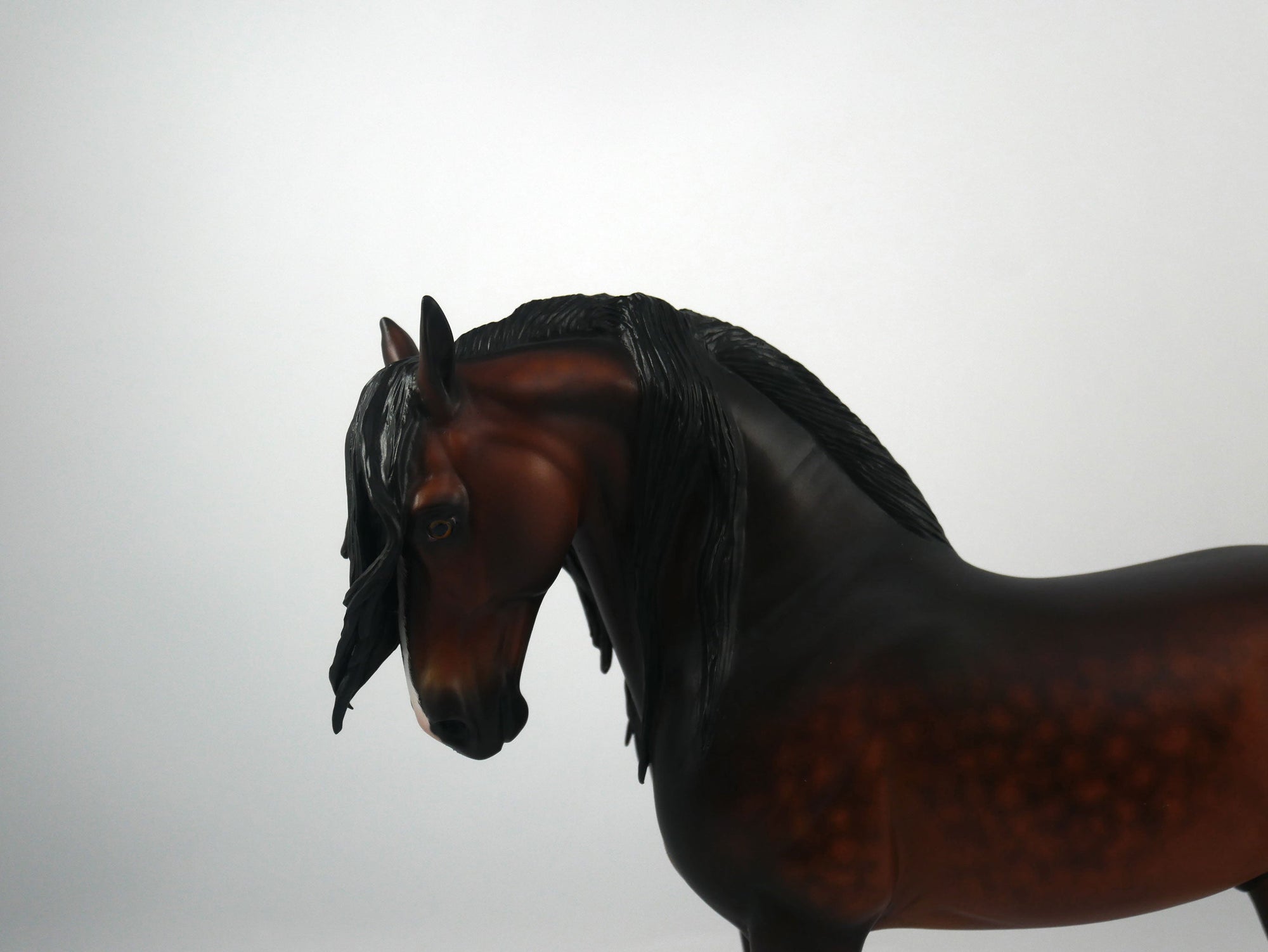 Gabe-OOAK Dapple Bay Andalusian Painted by Sheryl Leisure 1/29/21