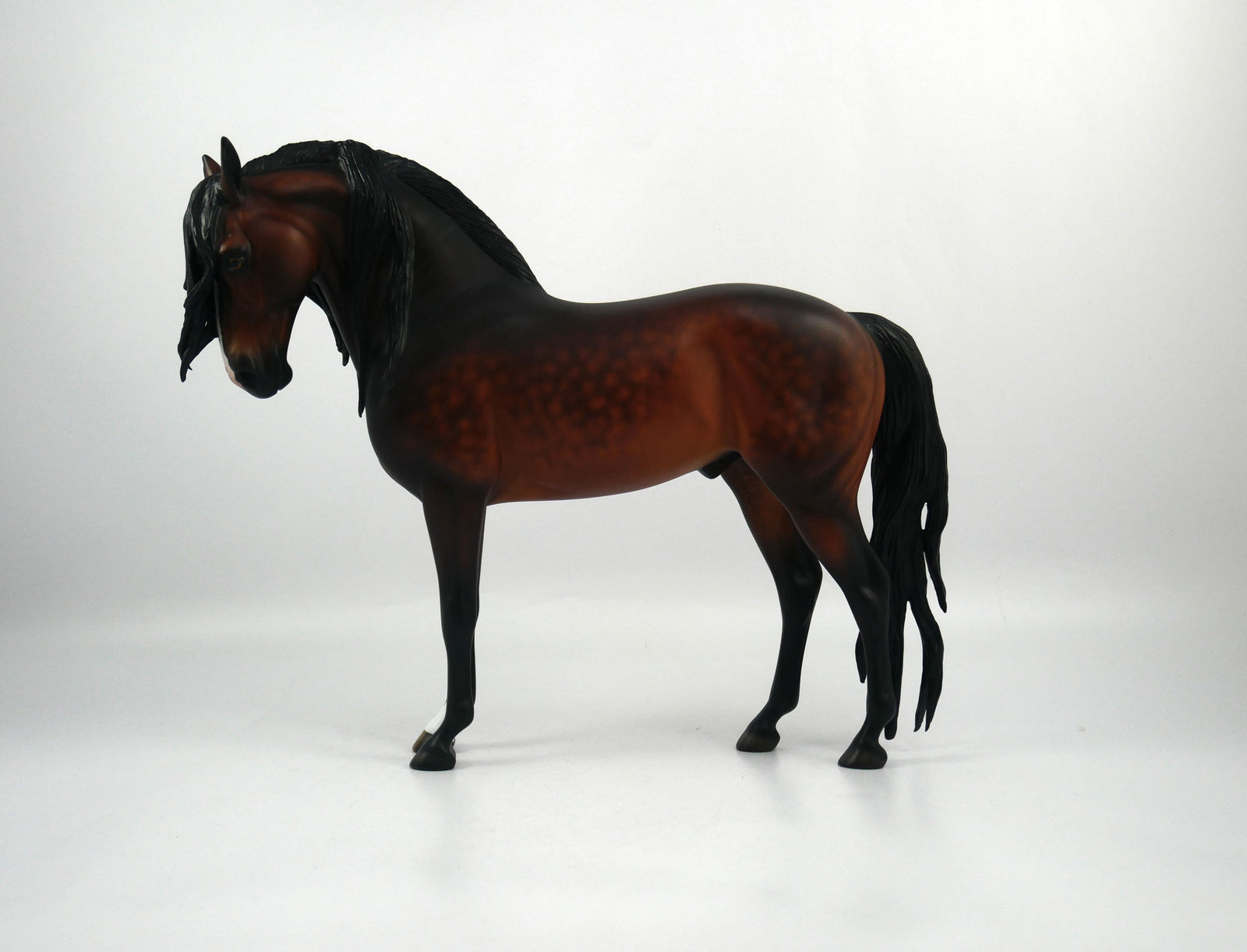 Vinnie-OOAK Dapple Bay Going Grey Andalusian Painted By Sheryl Leisure 1/29/21