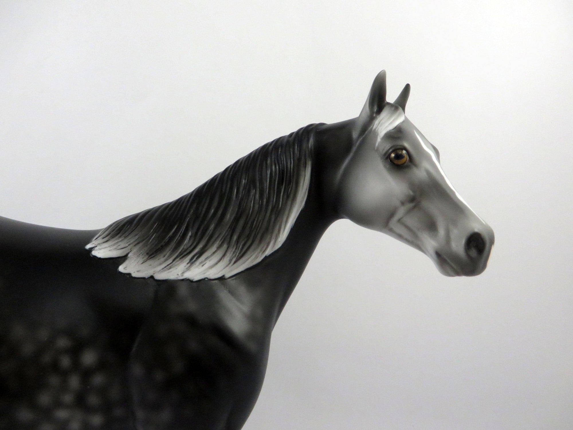 Gaelic-OOAK Dark Dapple Grey ISH 2/24/21