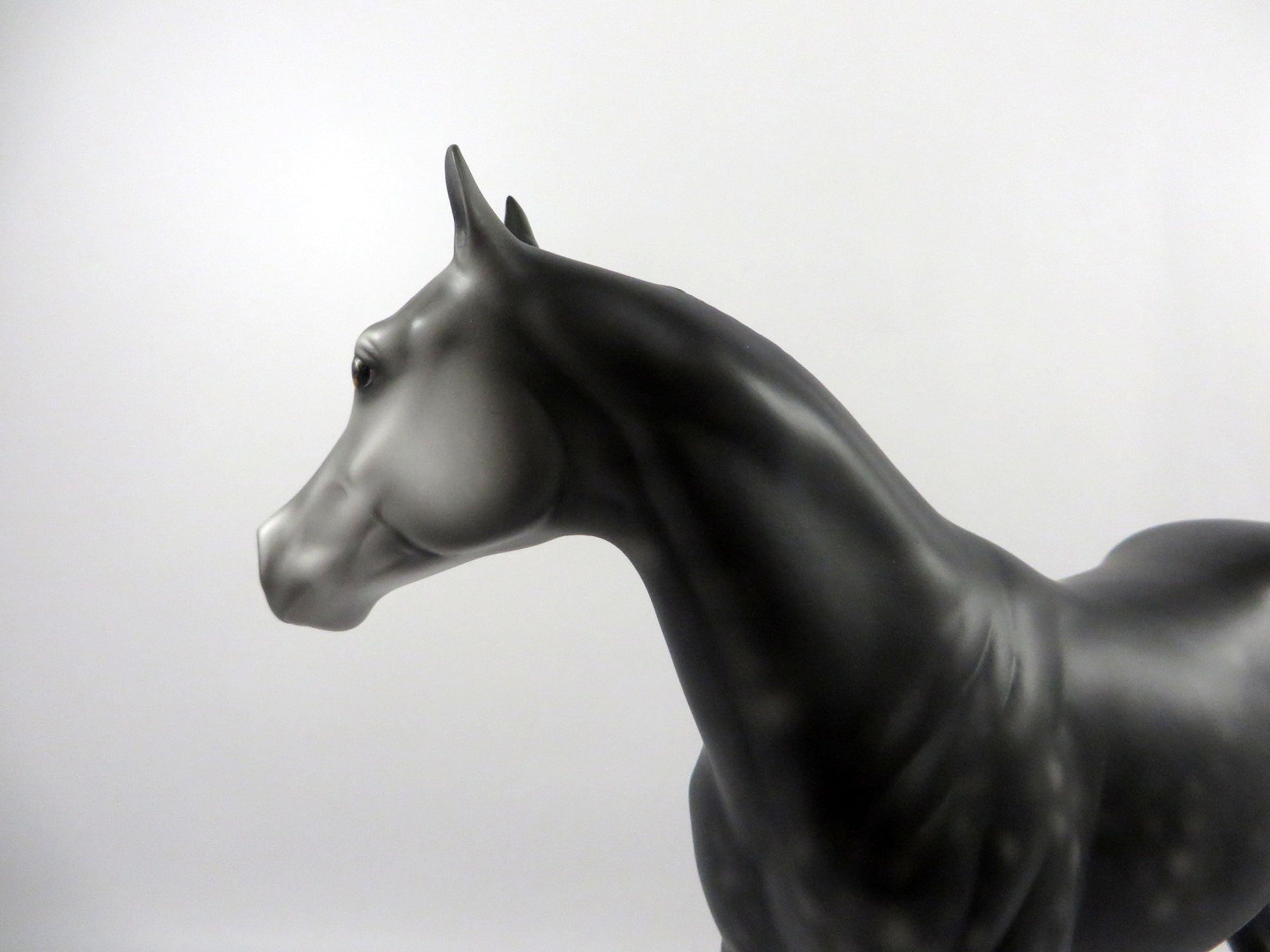 Gaelic-OOAK Dark Dapple Grey ISH 2/24/21