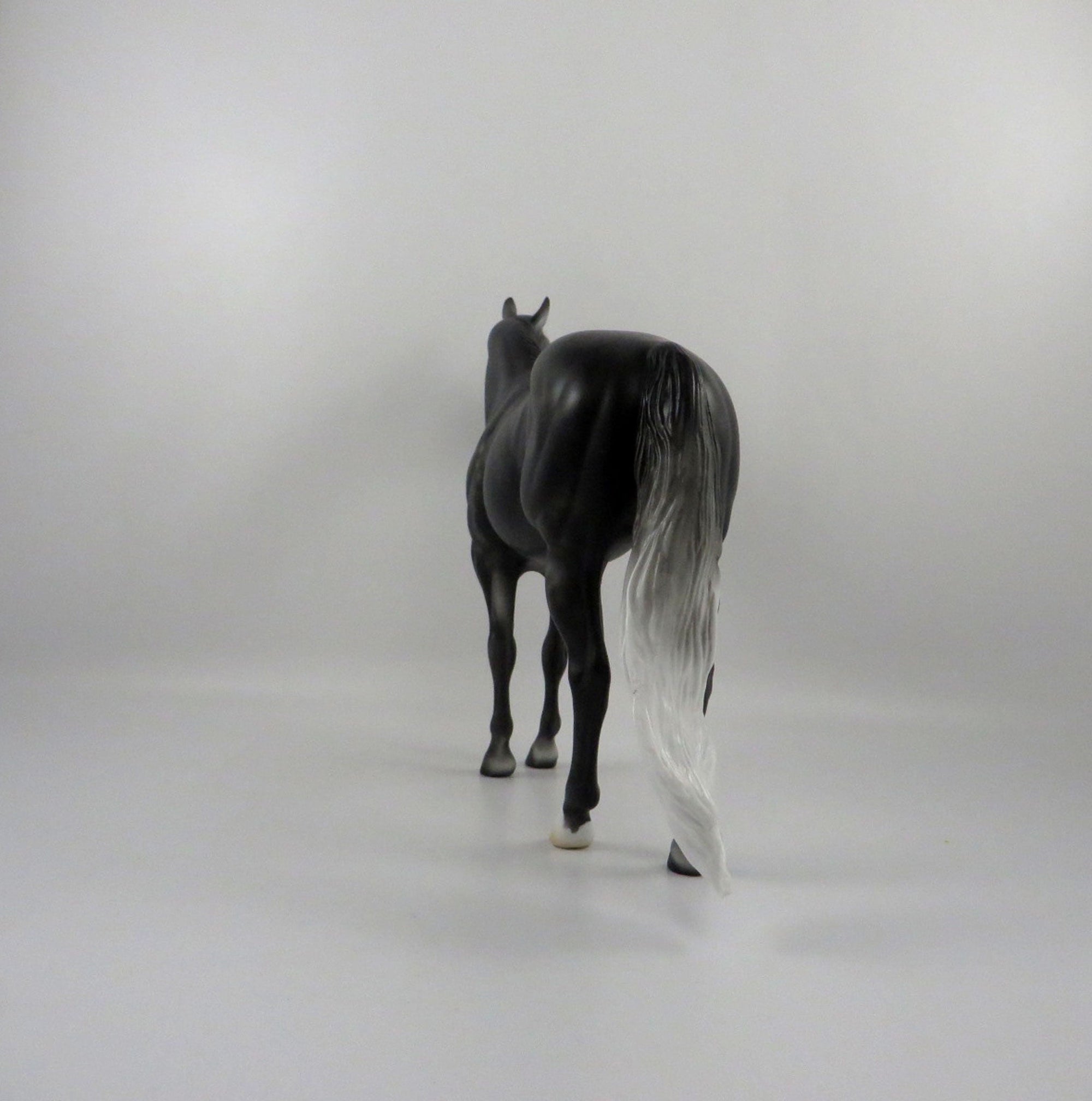 Gaelic-OOAK Dark Dapple Grey ISH 2/24/21