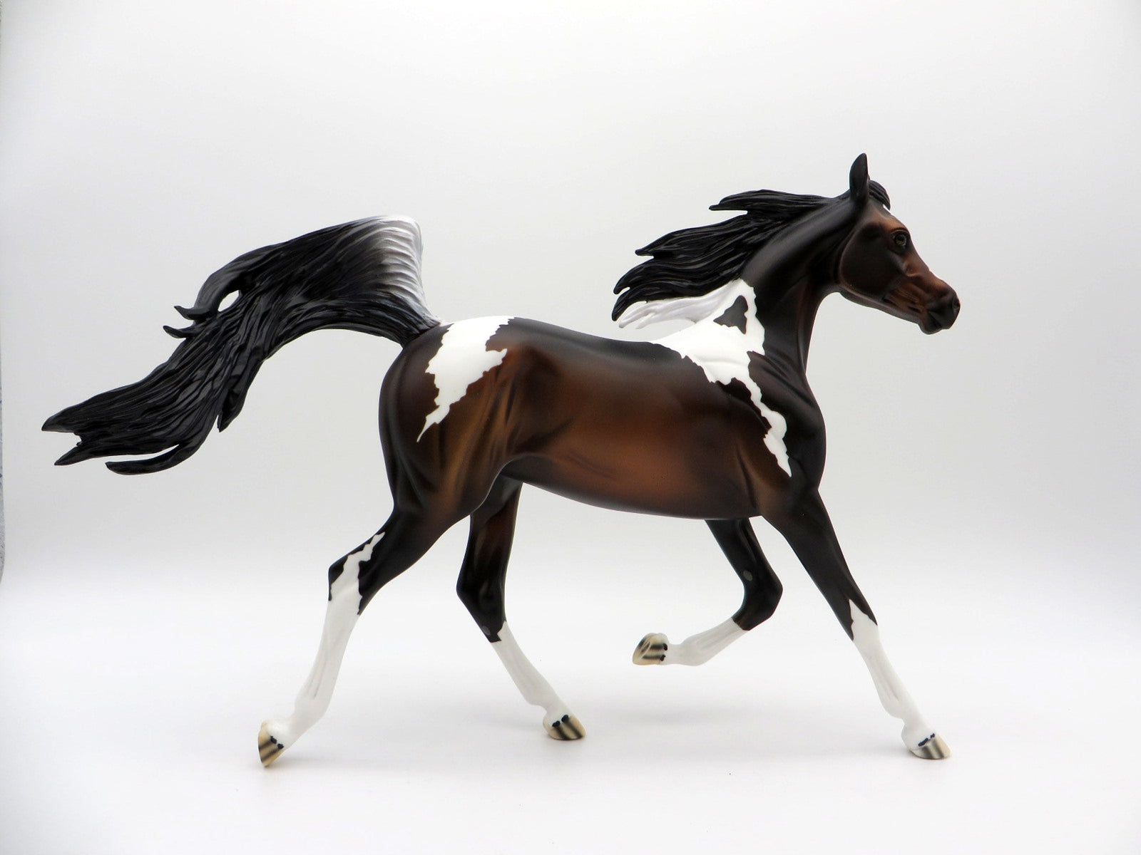 Gale-OOAK Bay Paint Yearling SHCF 2021