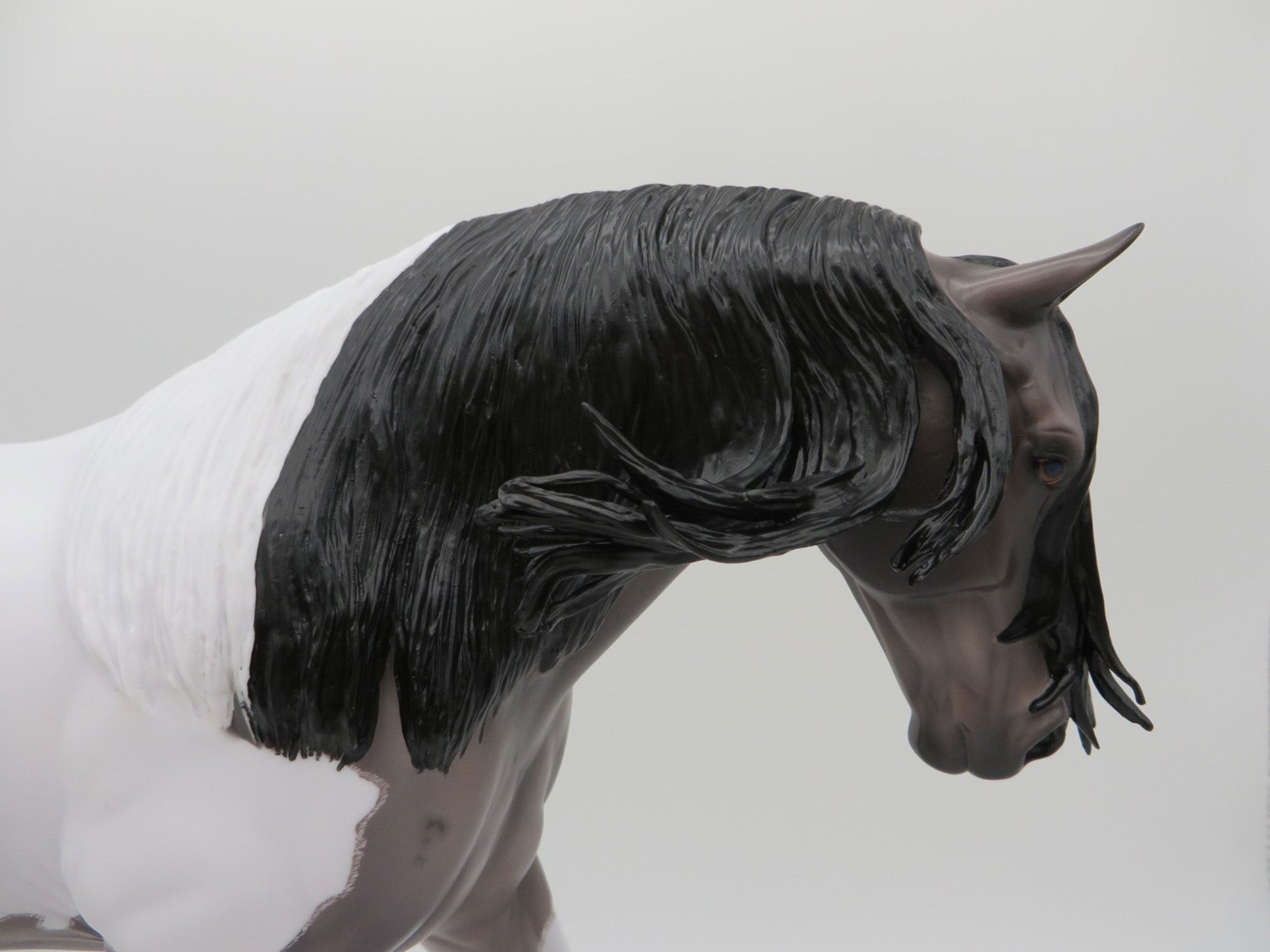 Galeva&#39;s-OOAK Blue Roan Pinto Irish Drafter Painted By Caroline Boydston 6/28/21