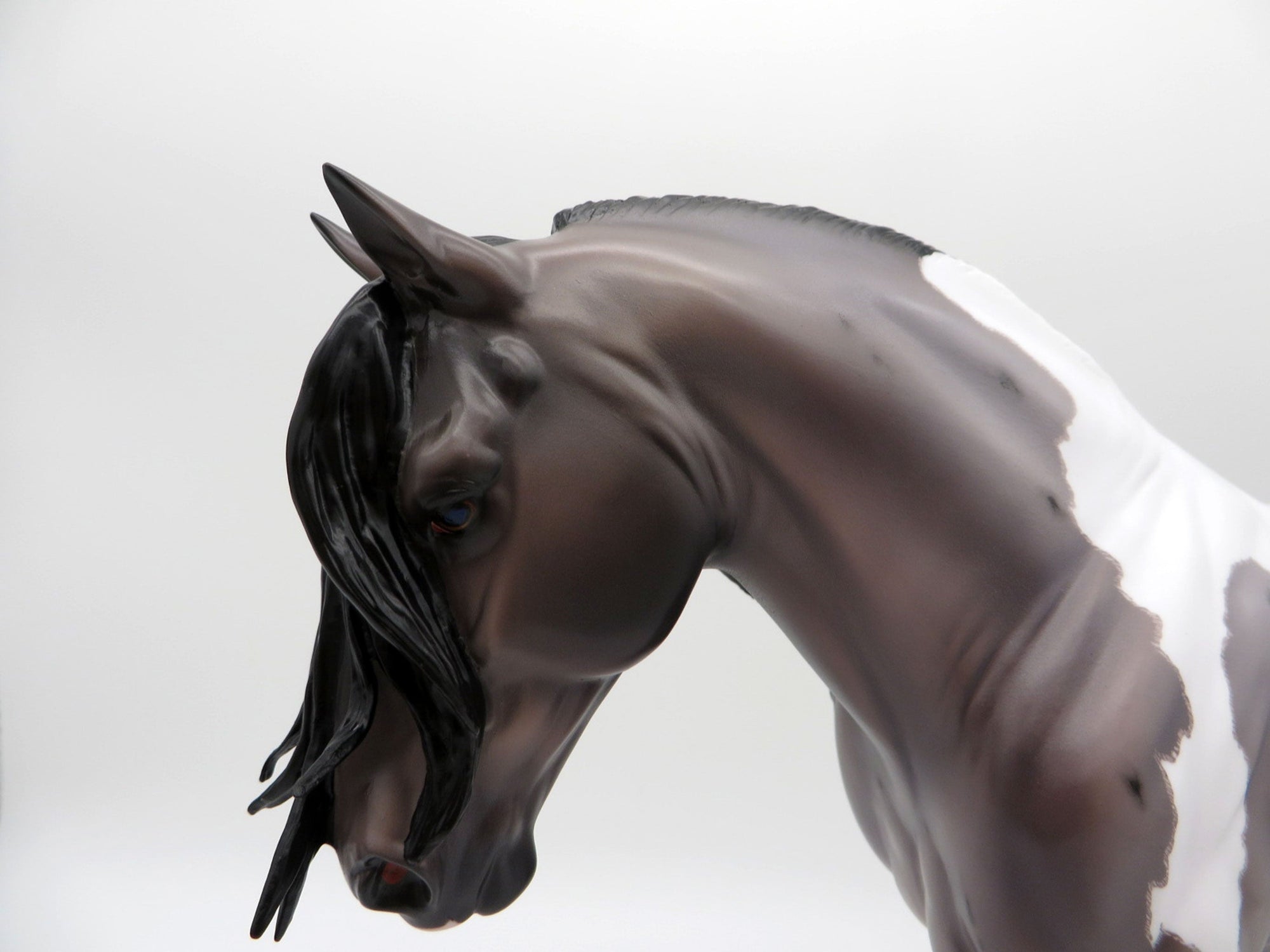 Galeva&#39;s-OOAK Blue Roan Pinto Irish Drafter Painted By Caroline Boydston 6/28/21