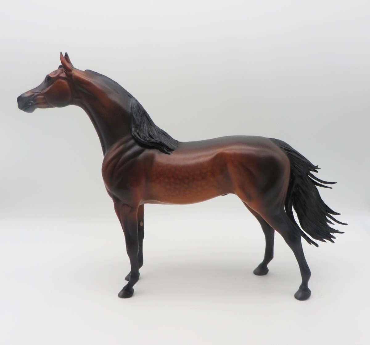 Gallagher- OOAK -Dapple Bay Arabian- By Caroline Boydston Best Offer 3/27/23