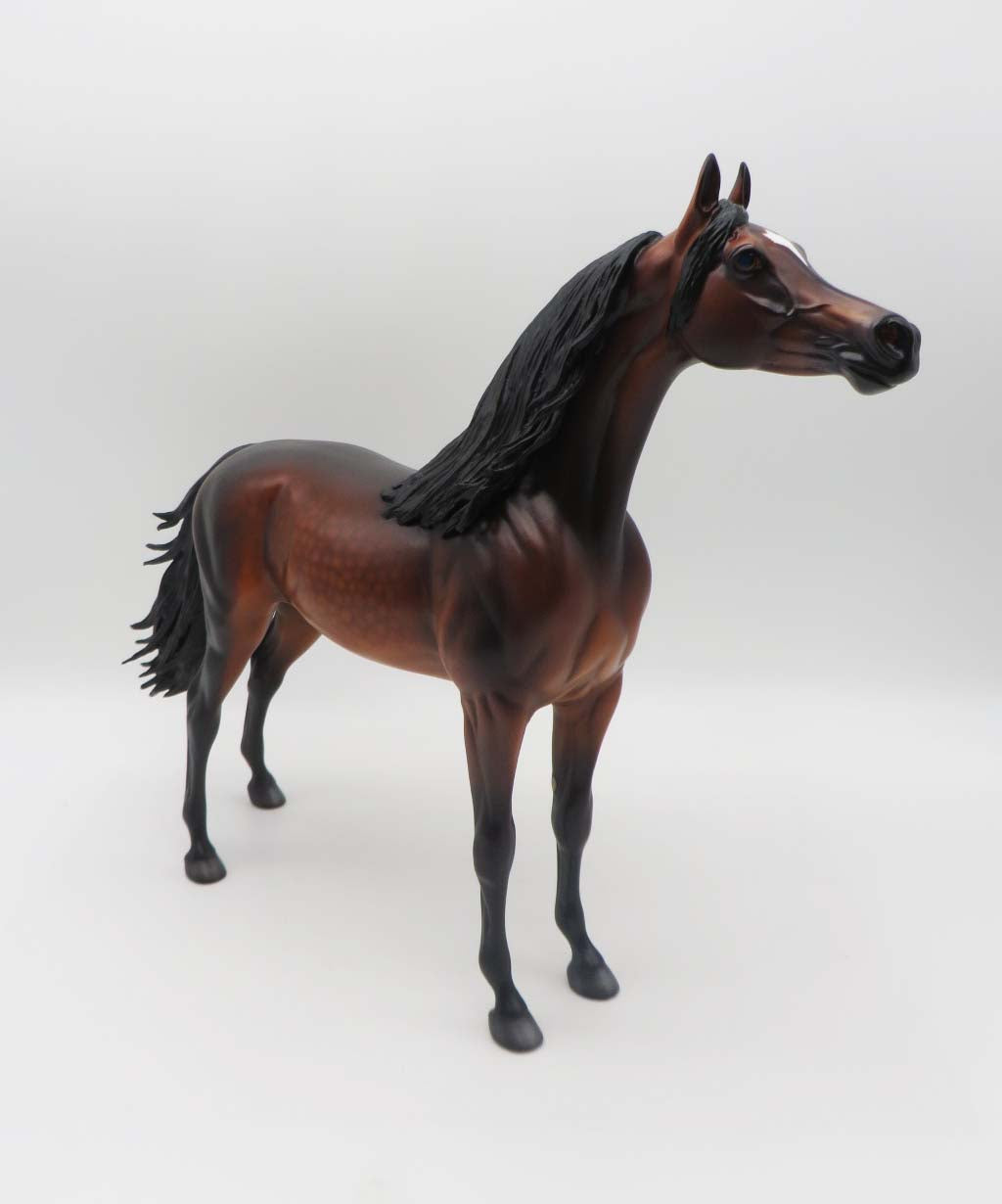 Gallagher- OOAK -Dapple Bay Arabian- By Caroline Boydston Best Offer 3/27/23