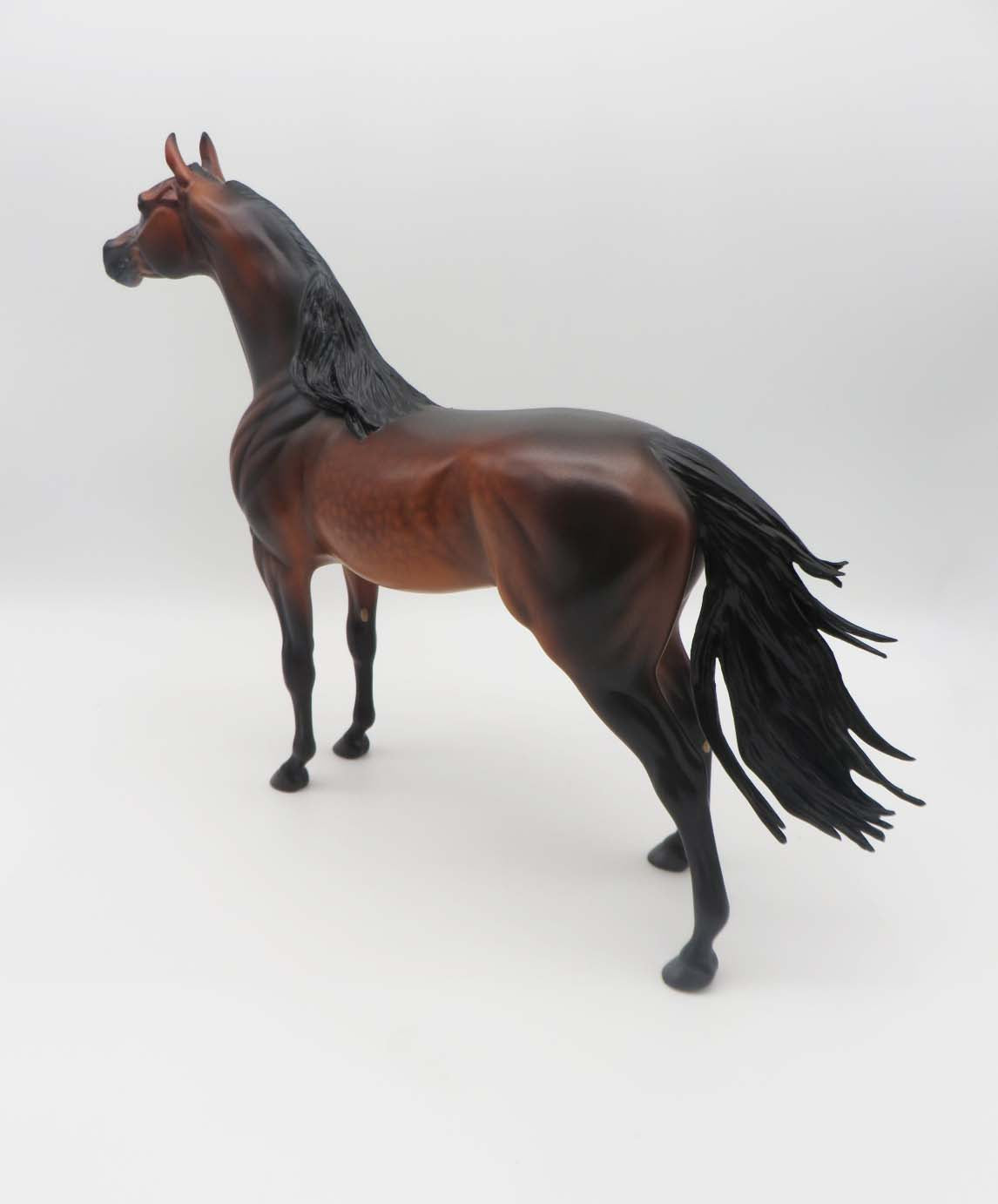 Gallagher- OOAK -Dapple Bay Arabian- By Caroline Boydston Best Offer 3/27/23