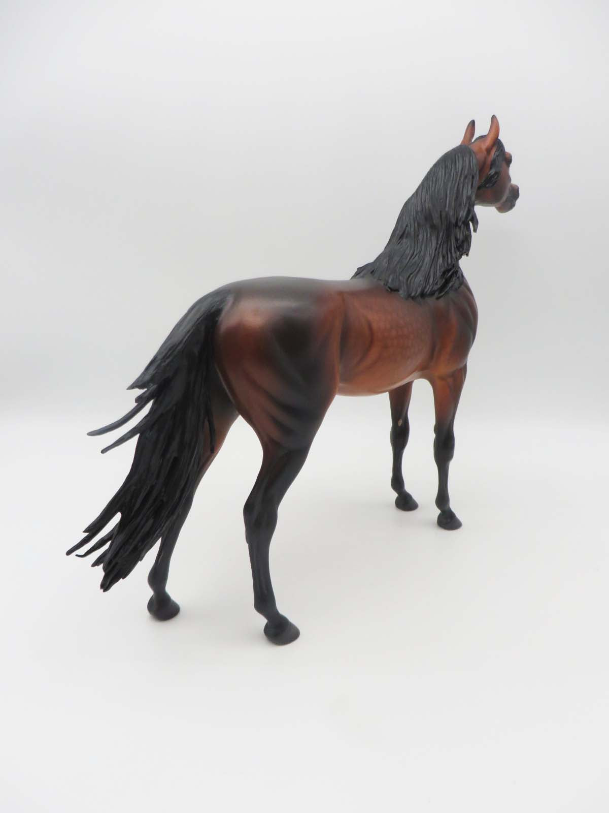 Gallagher- OOAK -Dapple Bay Arabian- By Caroline Boydston Best Offer 3/27/23