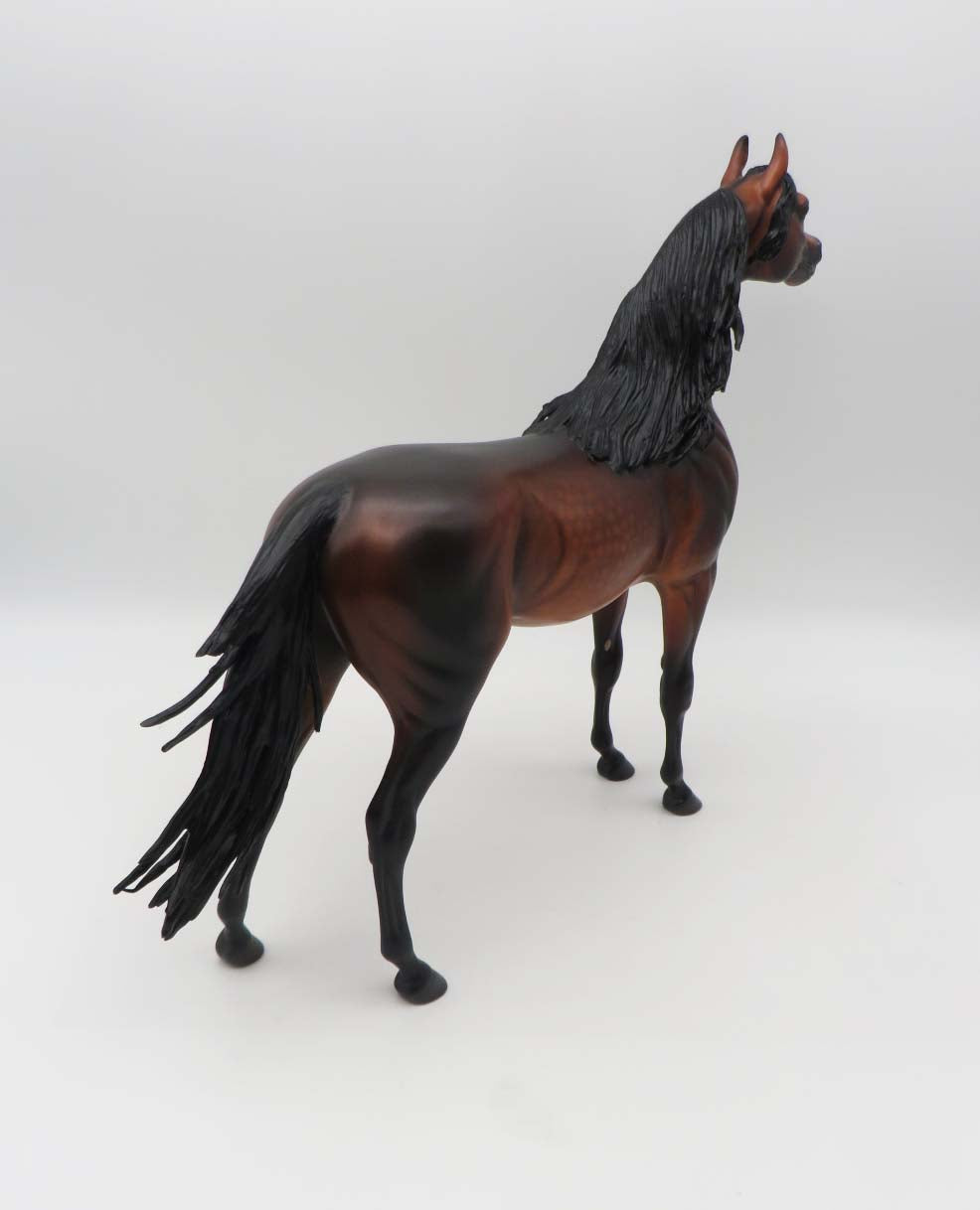 Gallagher- OOAK -Dapple Bay Arabian- By Caroline Boydston Best Offer 3/27/23