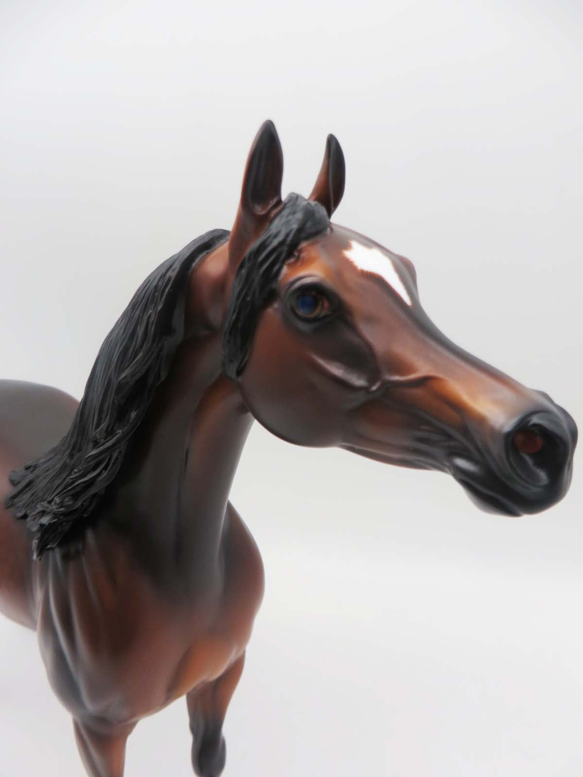 Gallagher- OOAK -Dapple Bay Arabian- By Caroline Boydston Best Offer 3/27/23