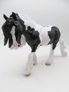 LOYALTY RELEASE  Superstition LE 150  Loyalty Club 22/23  Piebald Irish Cob by Jess Hamill - 01/23