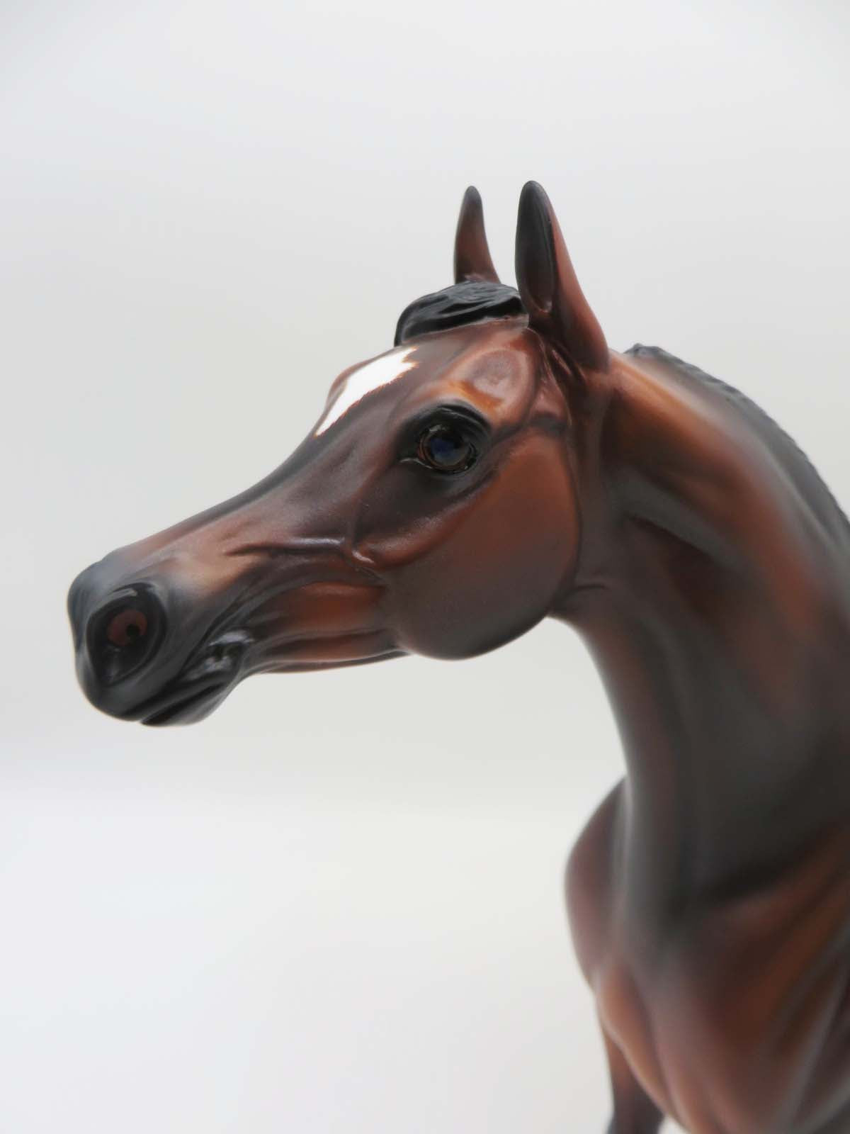 Gallagher- OOAK -Dapple Bay Arabian- By Caroline Boydston Best Offer 3/27/23