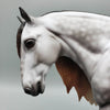 Galloway - LE30 Dappled Rose Grey Fell Pony on the Cob Mold By Ashley Palmer EQ23