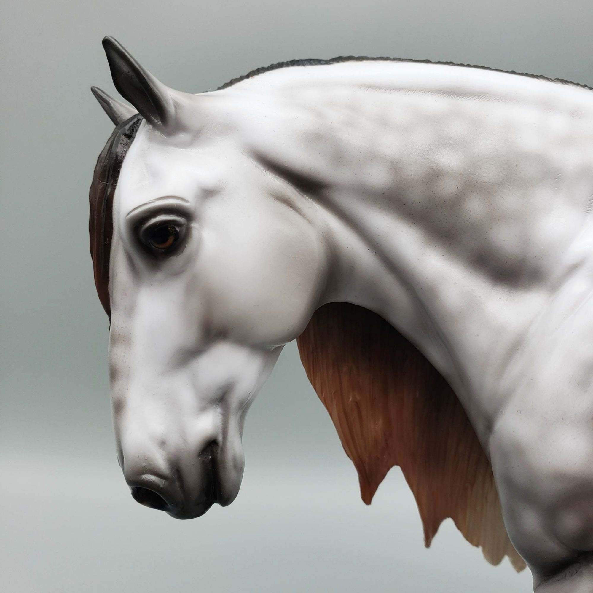 Sample of Galloway - Dappled Rose Grey Fell Pony on the Cob Mold By Ashley Palmer