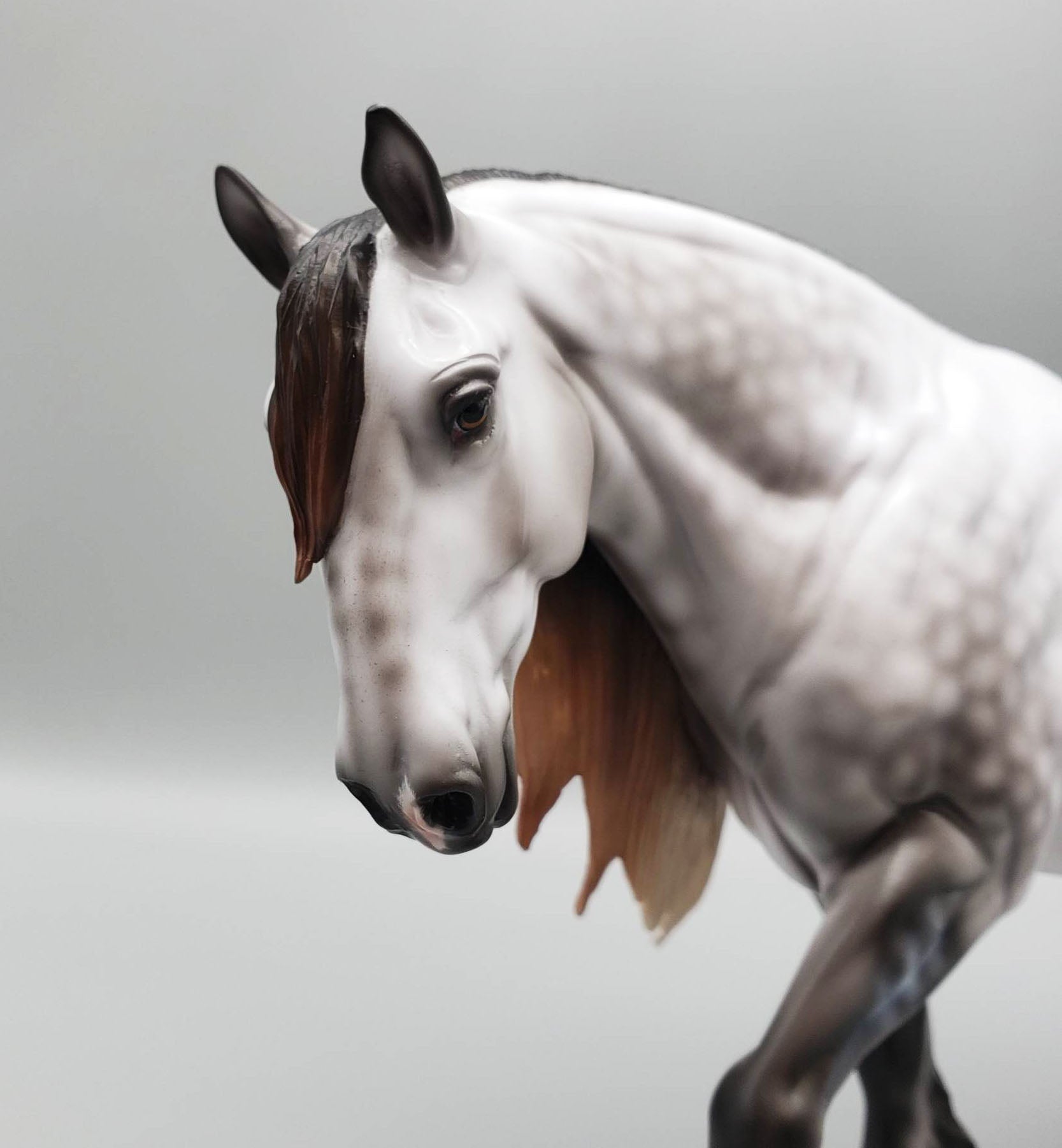 Galloway - LE30 Dappled Rose Grey Fell Pony on the Cob Mold By Ashley Palmer EQ23