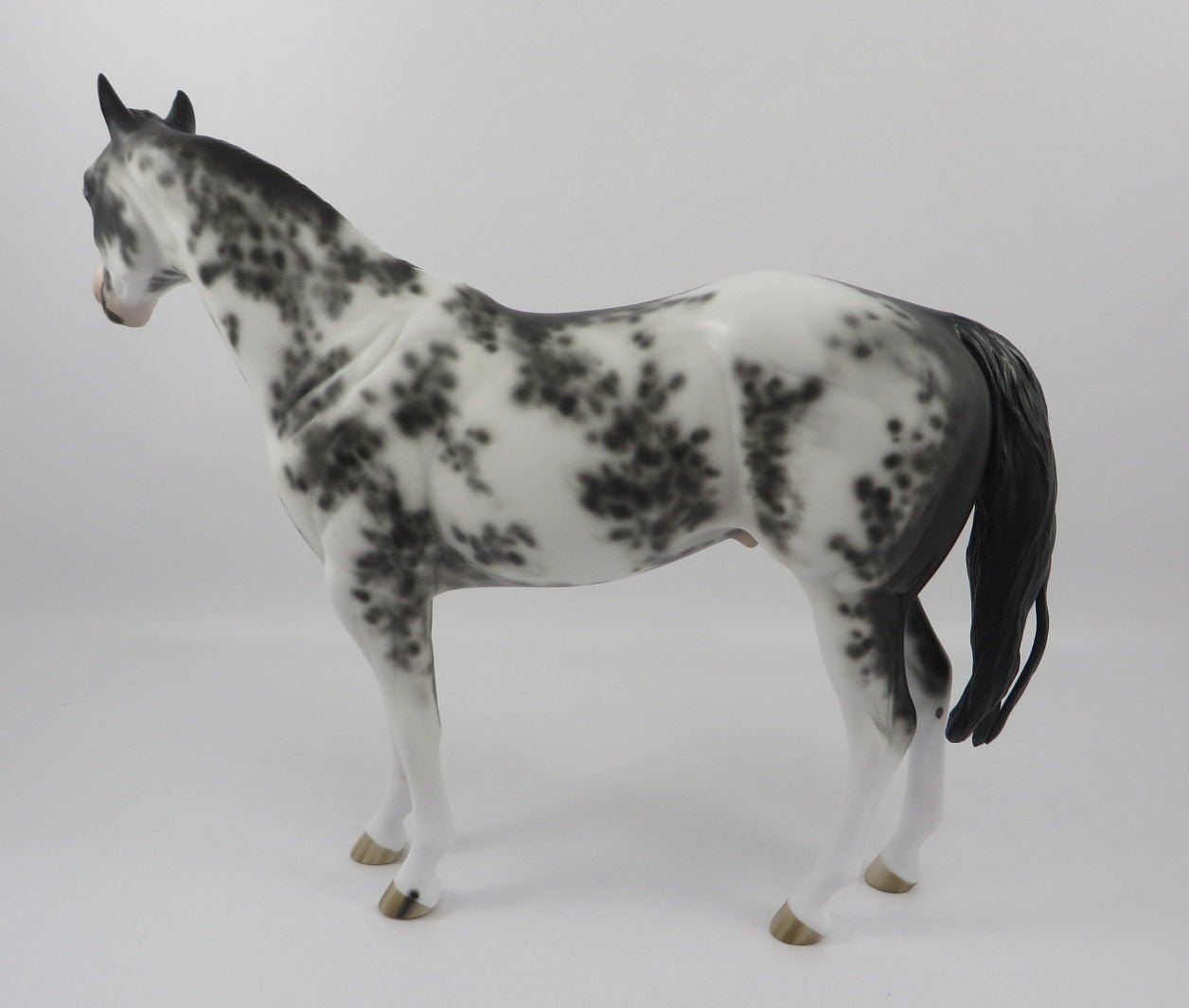 Gamma Jack-OOAK Black Sabino ISH Painted By Sheryl Leisure 2/21