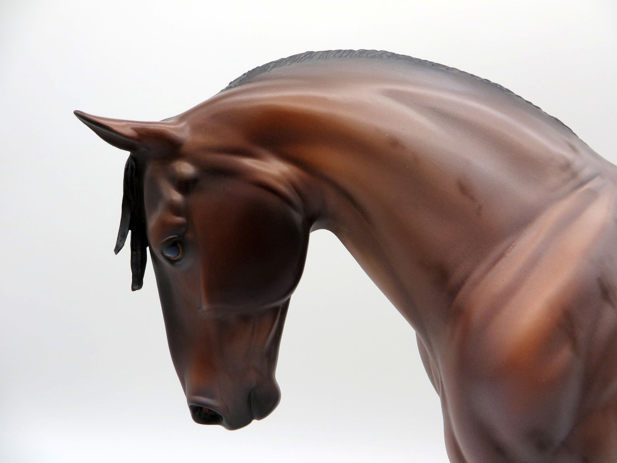 Ganges-OOAK Bay Roan Irish Drafter By Caroline Boydston 4/5/21