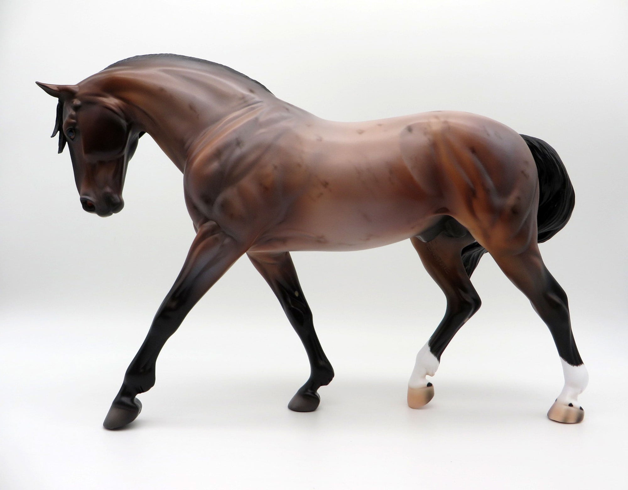 Ganges-OOAK Bay Roan Irish Drafter By Caroline Boydston 4/5/21