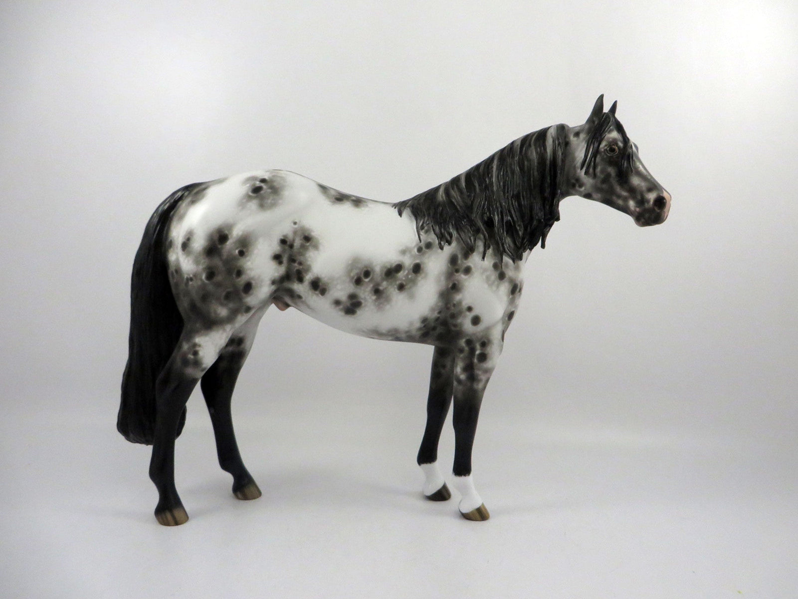 Gazer Beam-OOAK Appaloosa ISH By Sheryl Leisure  2/25/21