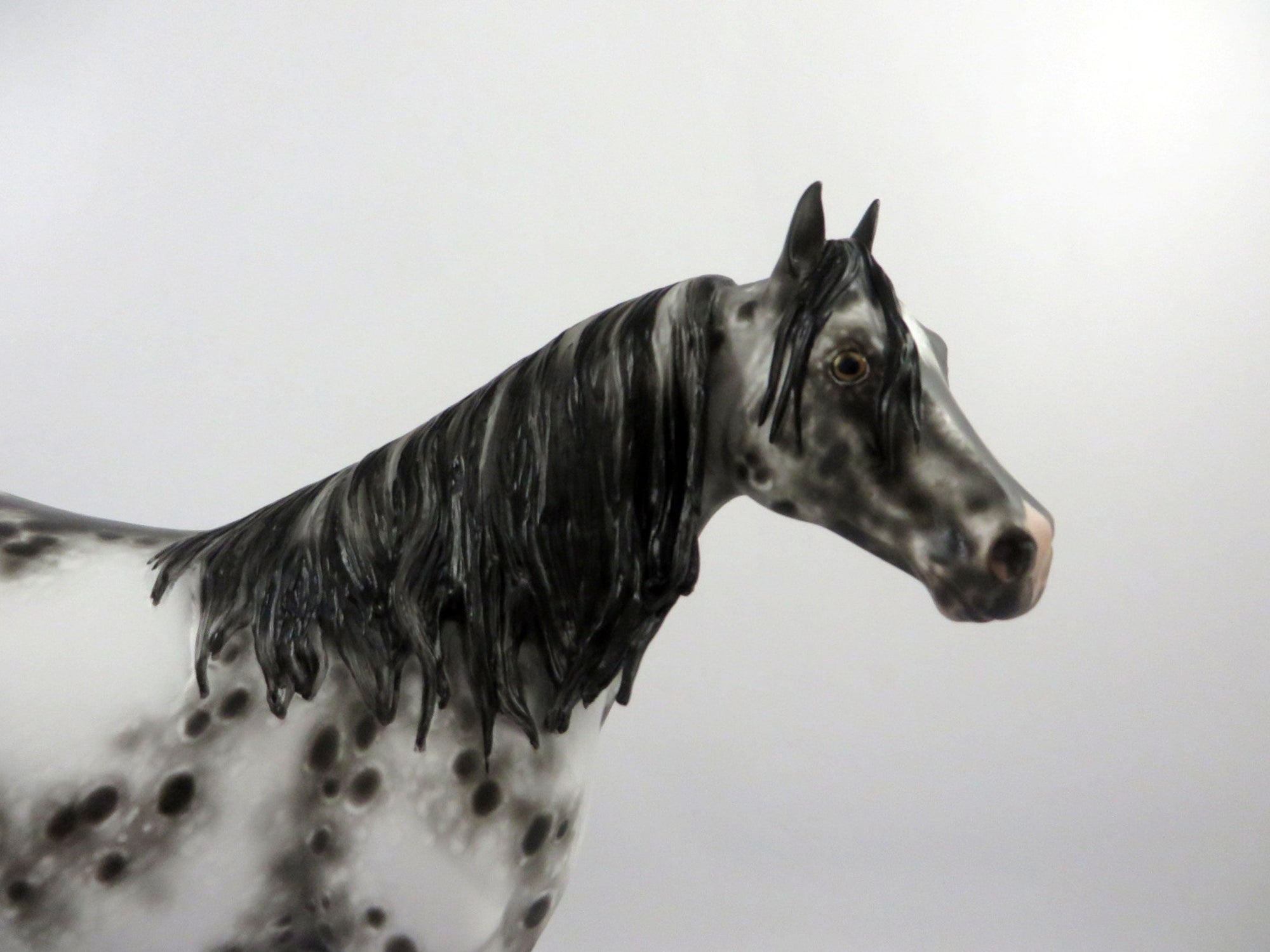 Gazer Beam-OOAK Appaloosa ISH By Sheryl Leisure  2/25/21