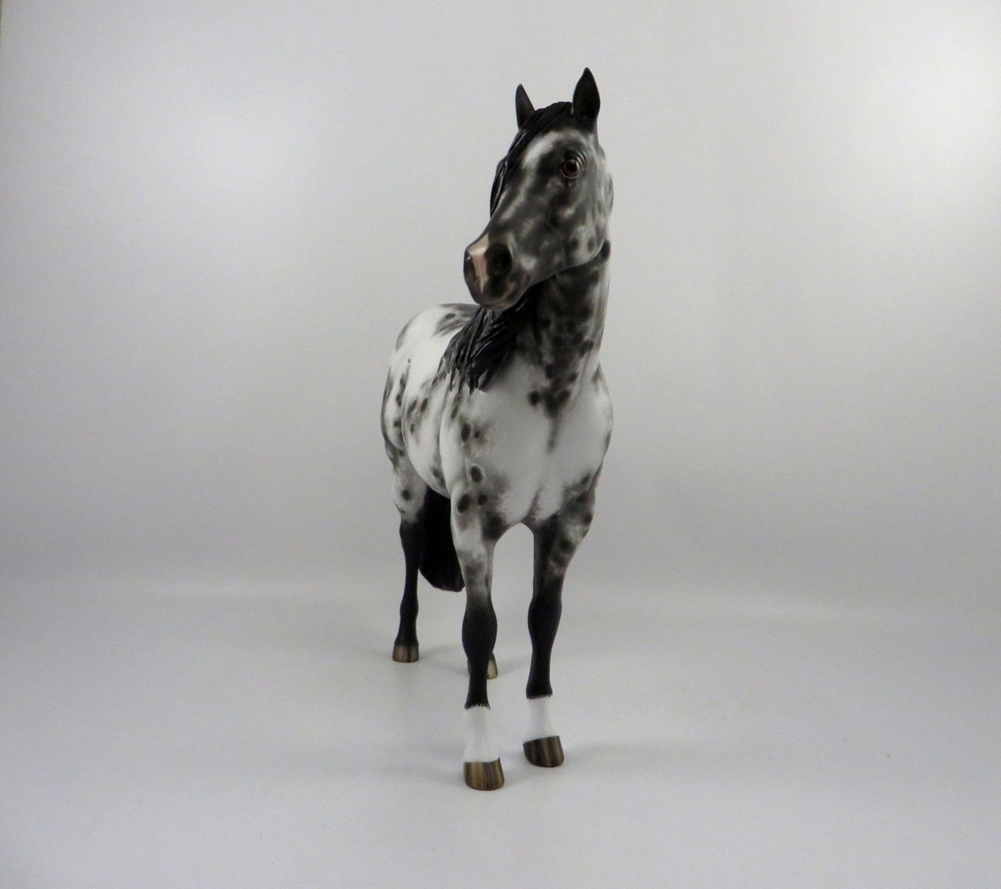 Gazer Beam-OOAK Appaloosa ISH By Sheryl Leisure  2/25/21