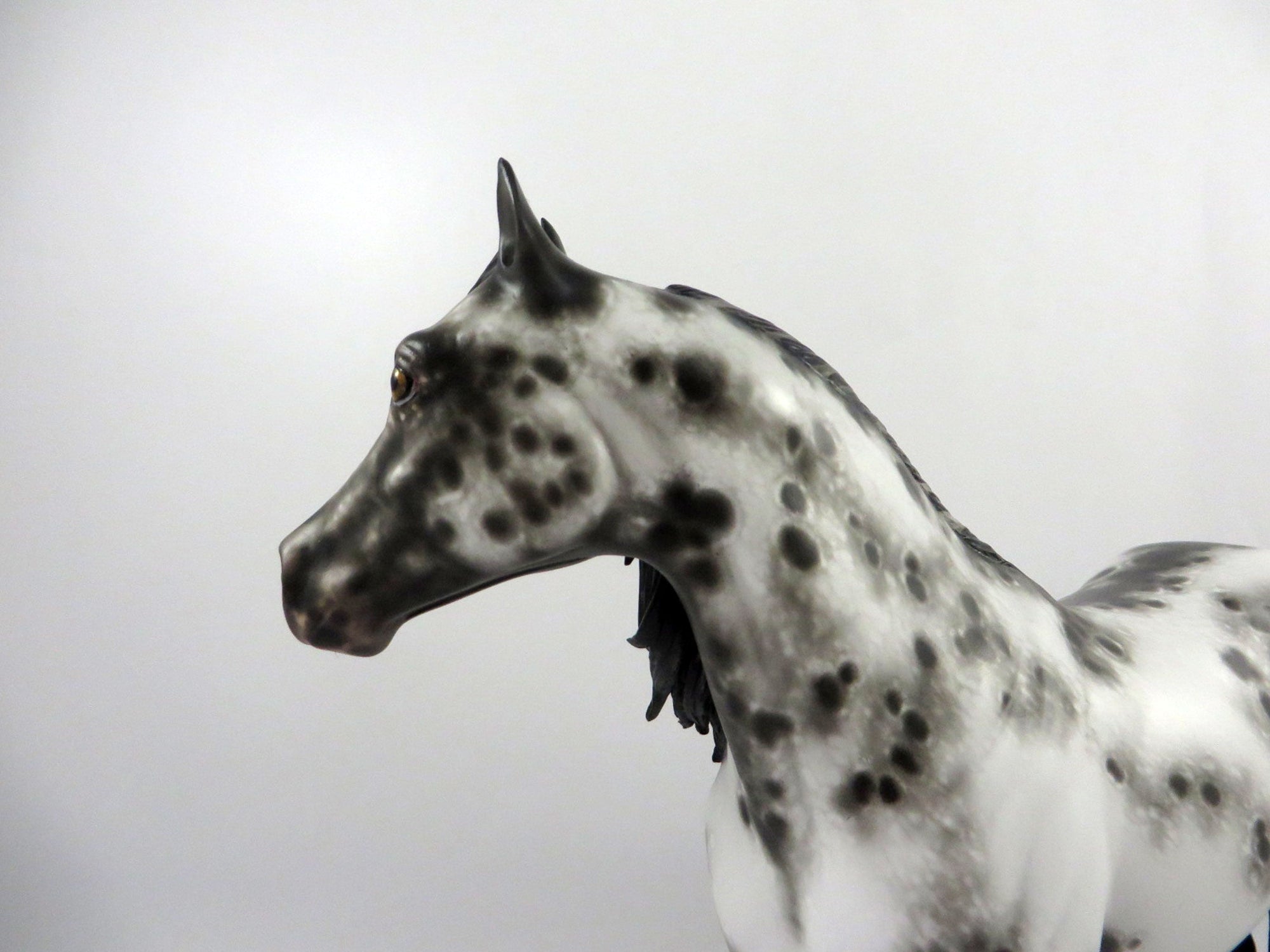 Gazer Beam-OOAK Appaloosa ISH By Sheryl Leisure  2/25/21