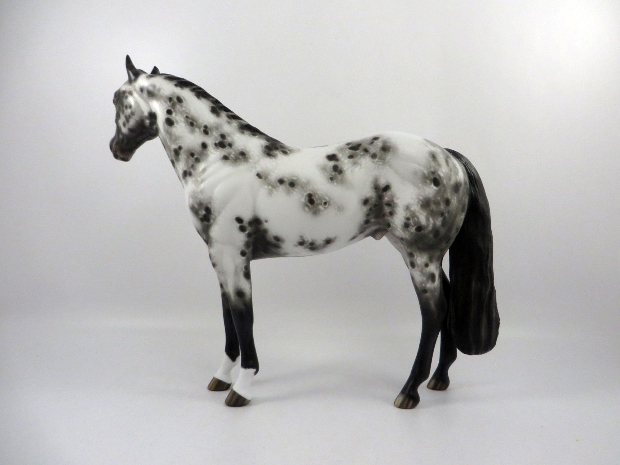 Gazer Beam-OOAK Appaloosa ISH By Sheryl Leisure  2/25/21