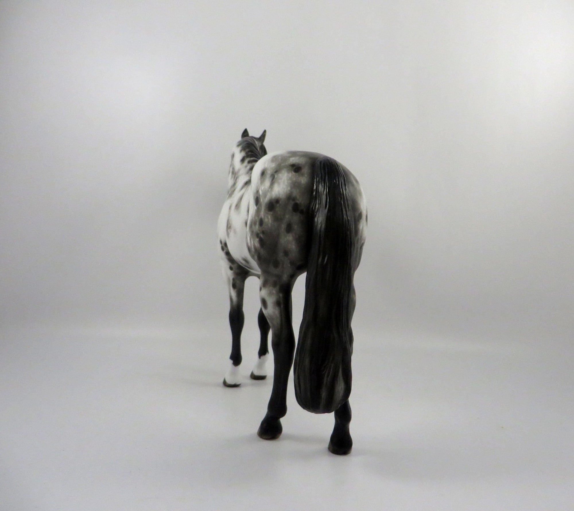 Gazer Beam-OOAK Appaloosa ISH By Sheryl Leisure  2/25/21