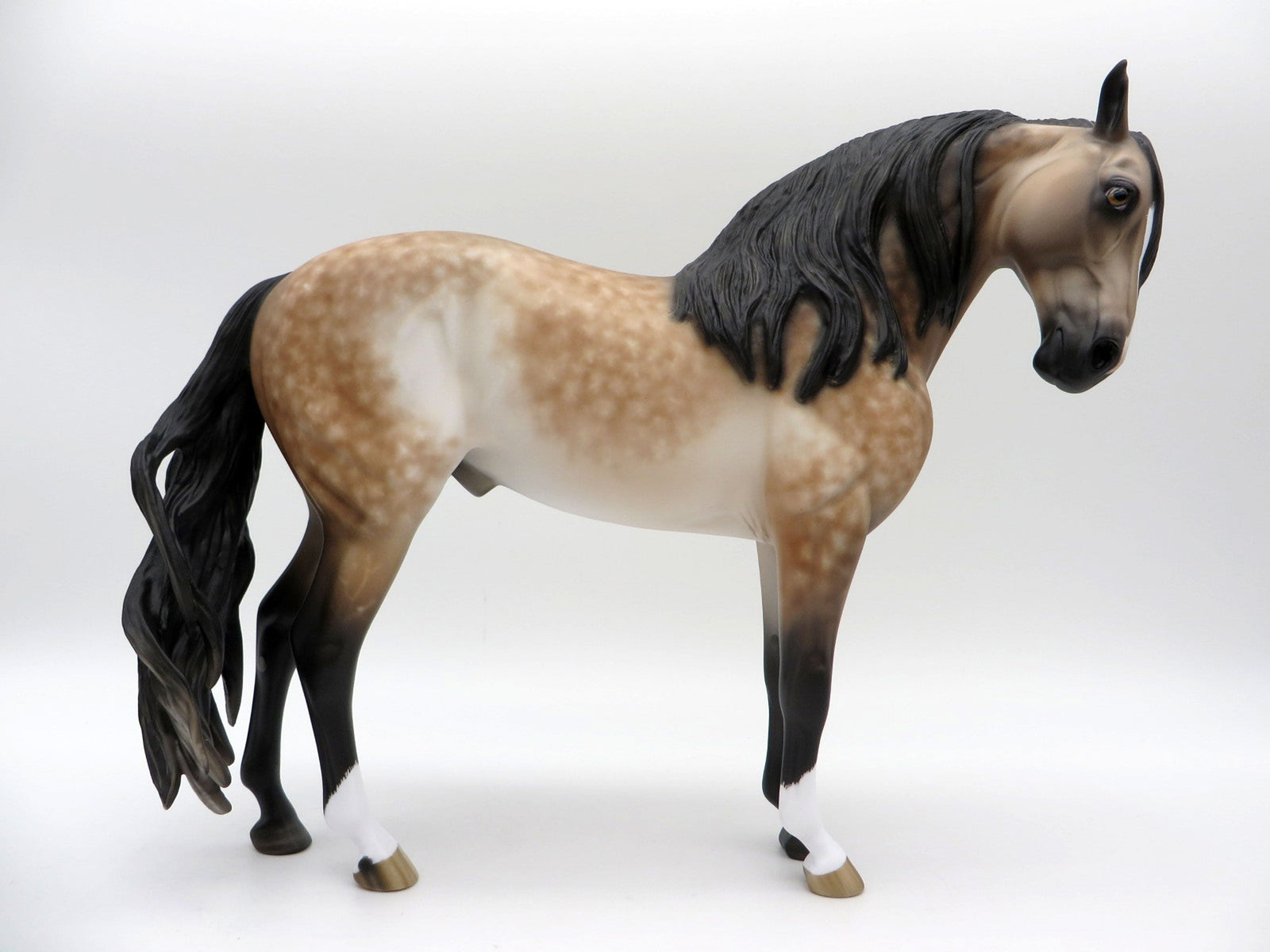 Gelateria-OOAK Bay Going Grey Andalusian Painted By Sheryl Leisure 6/14/21