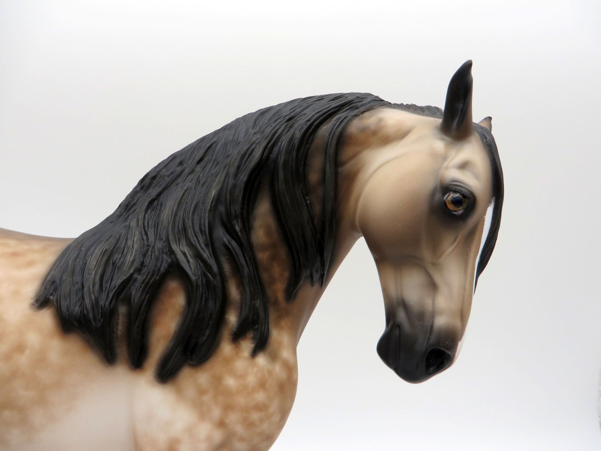 Gelateria-OOAK Bay Going Grey Andalusian Painted By Sheryl Leisure 6/14/21