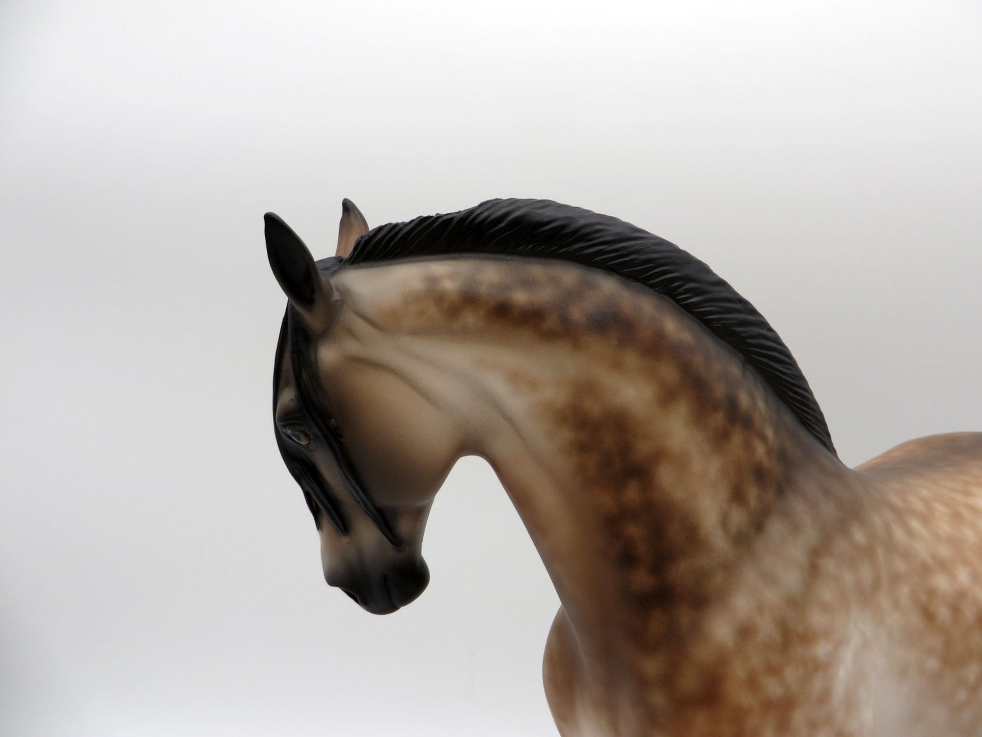 Gelateria-OOAK Bay Going Grey Andalusian Painted By Sheryl Leisure 6/14/21