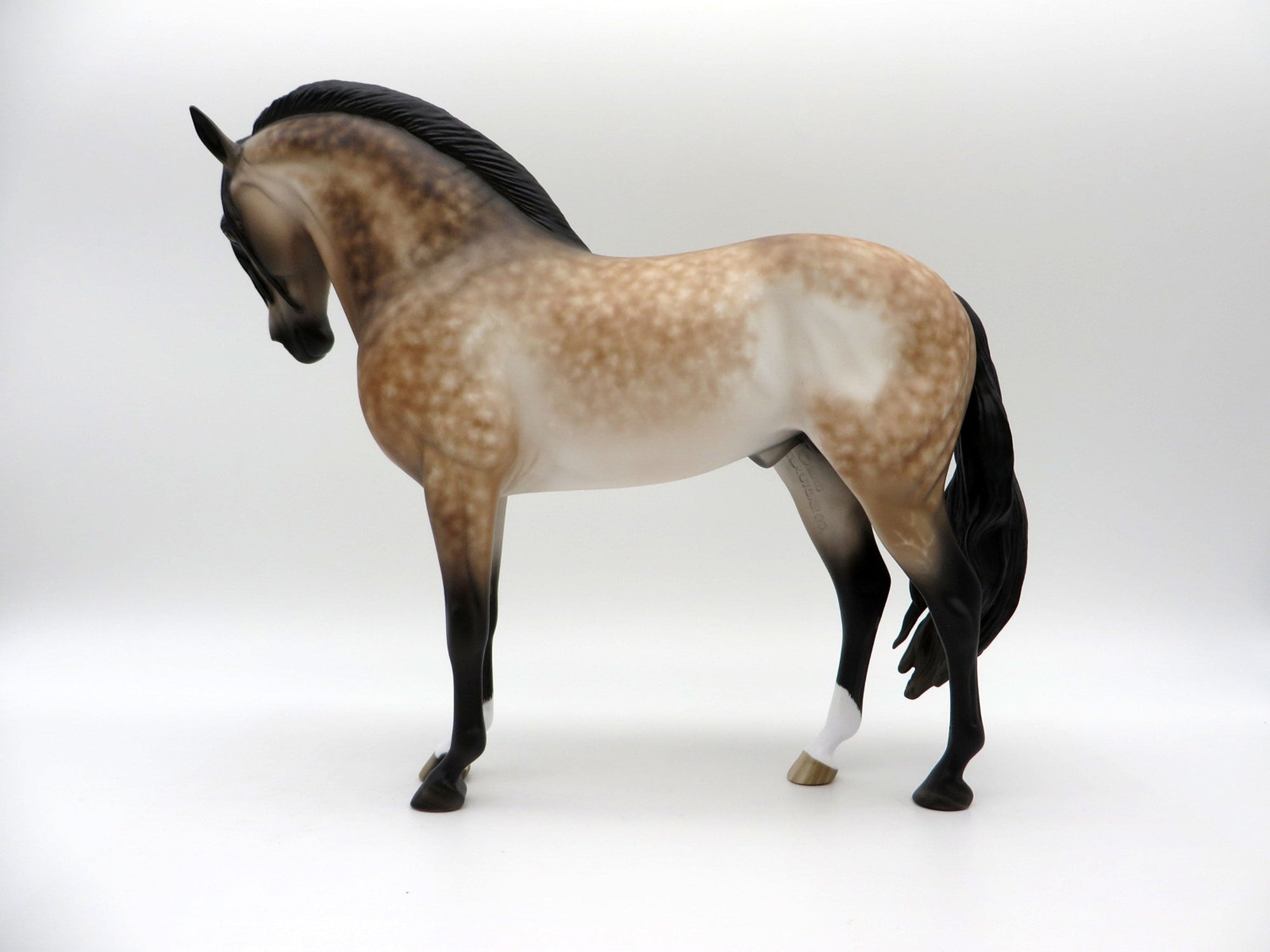 Gelateria-OOAK Bay Going Grey Andalusian Painted By Sheryl Leisure 6/14/21