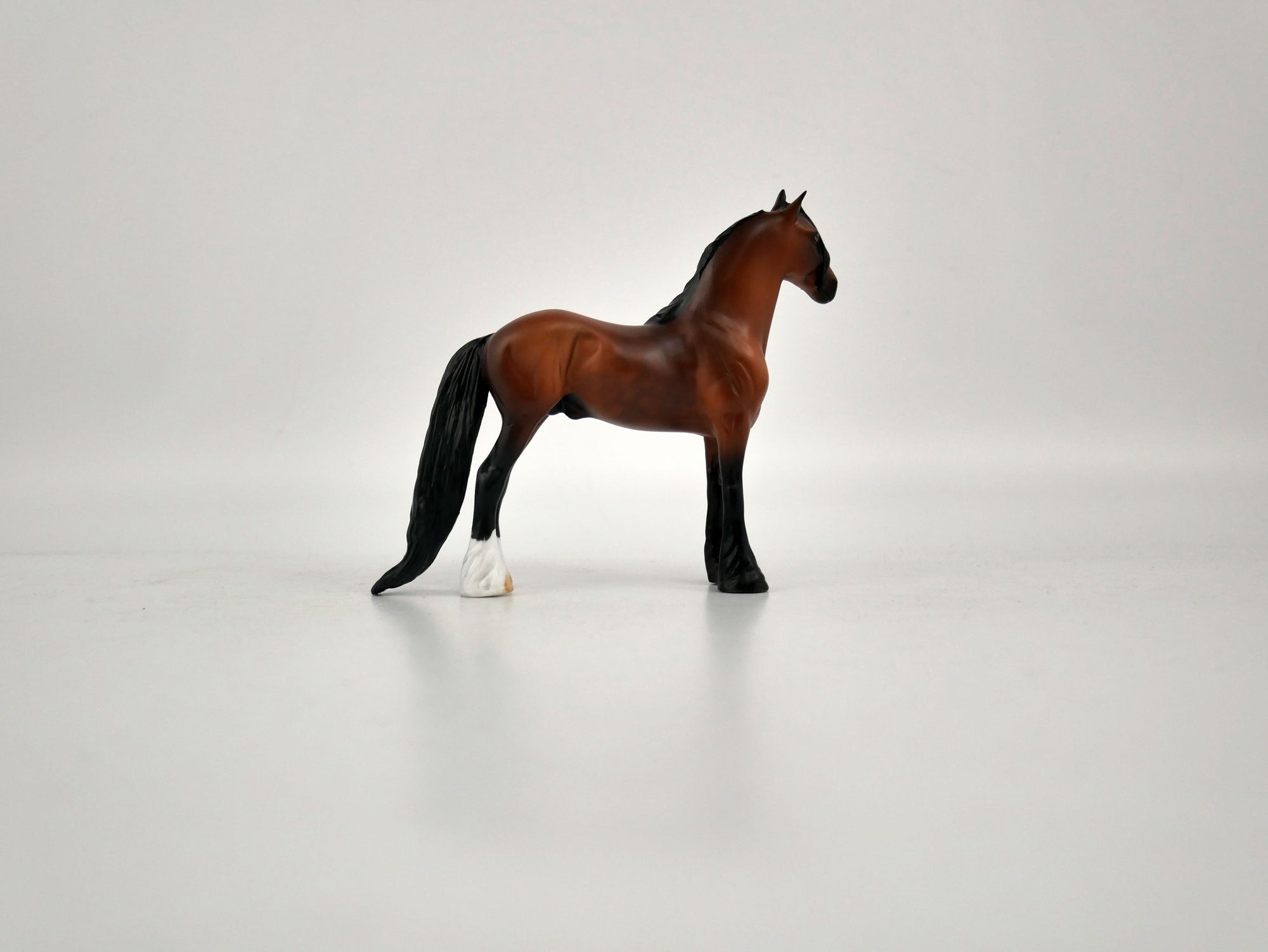 What is inside the Box&gt; Gene 12/20