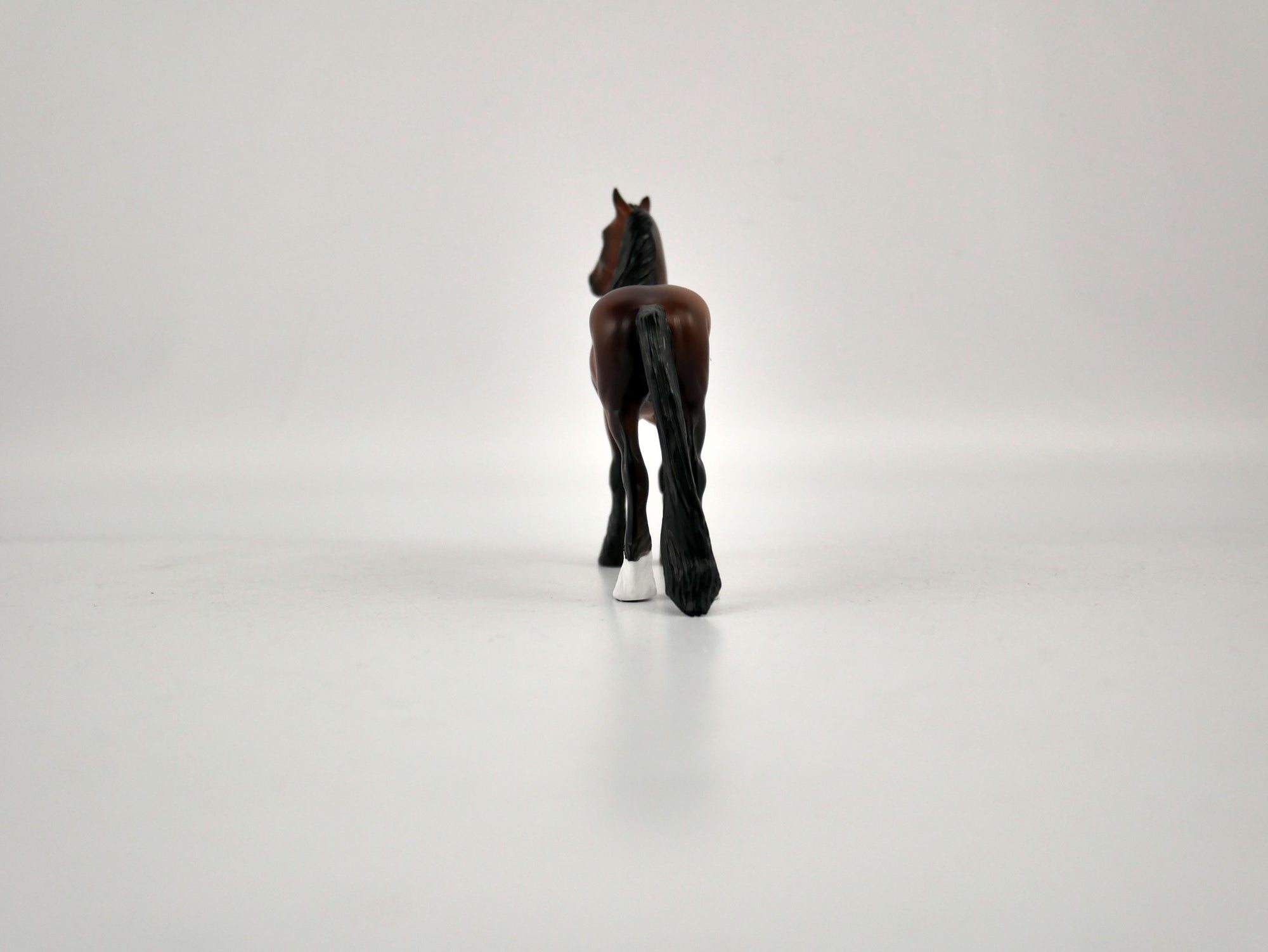 What is inside the Box&gt; Gene 12/20