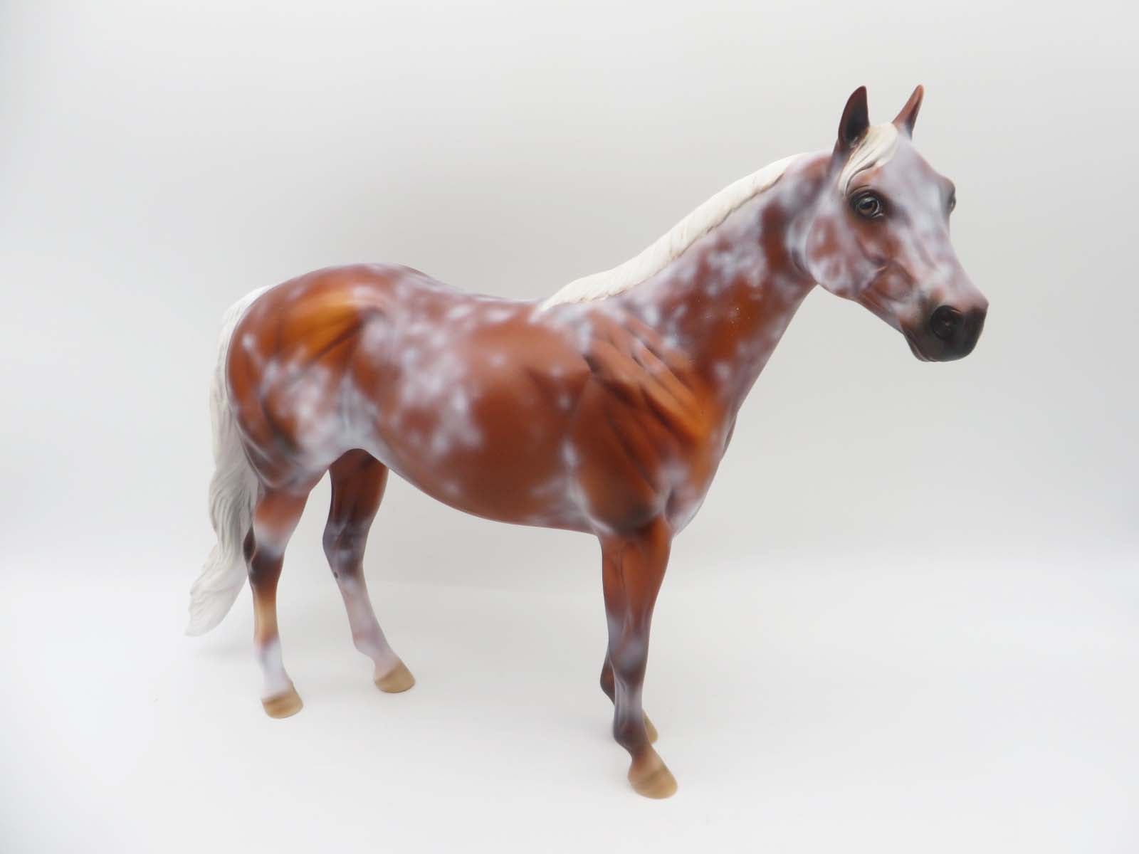 General Treat - OOAK - Flaxen Chestnut Sabino Ideal Stock Horse By Dawn Quick - SHCF23