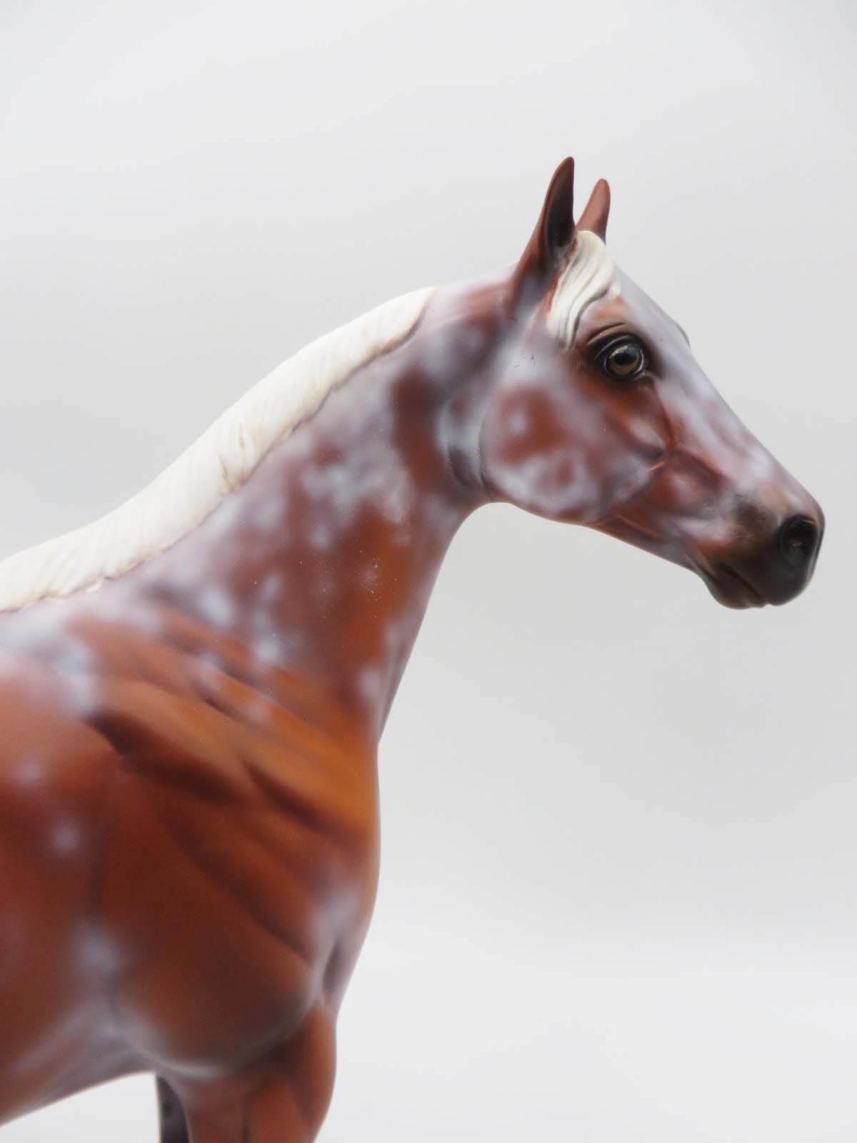 General Treat - OOAK - Flaxen Chestnut Sabino Ideal Stock Horse By Dawn Quick - SHCF23