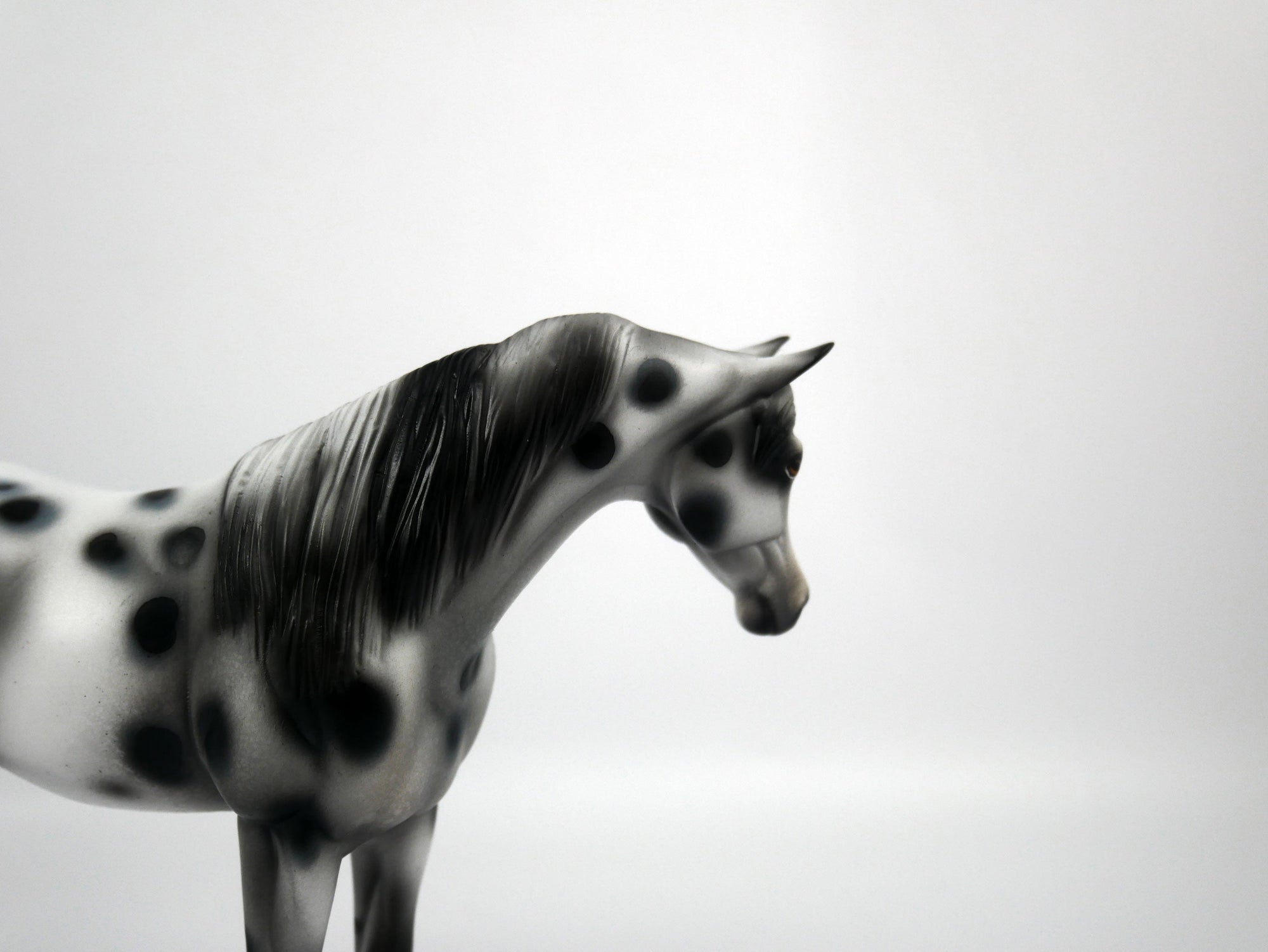 Genesis-OOAK Appaloosa Pebbles Arabian Mare 1/8/21