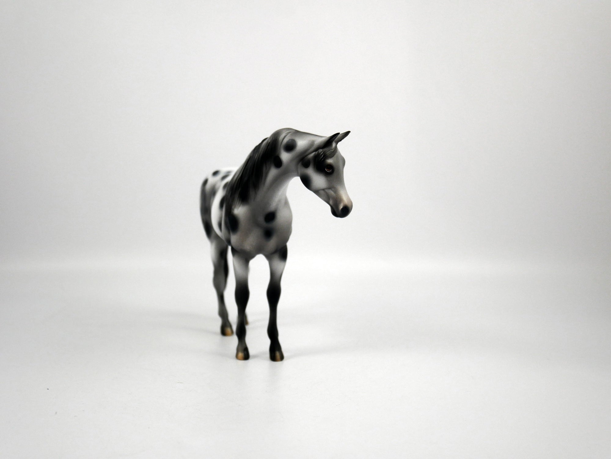 Genesis-OOAK Appaloosa Pebbles Arabian Mare 1/8/21