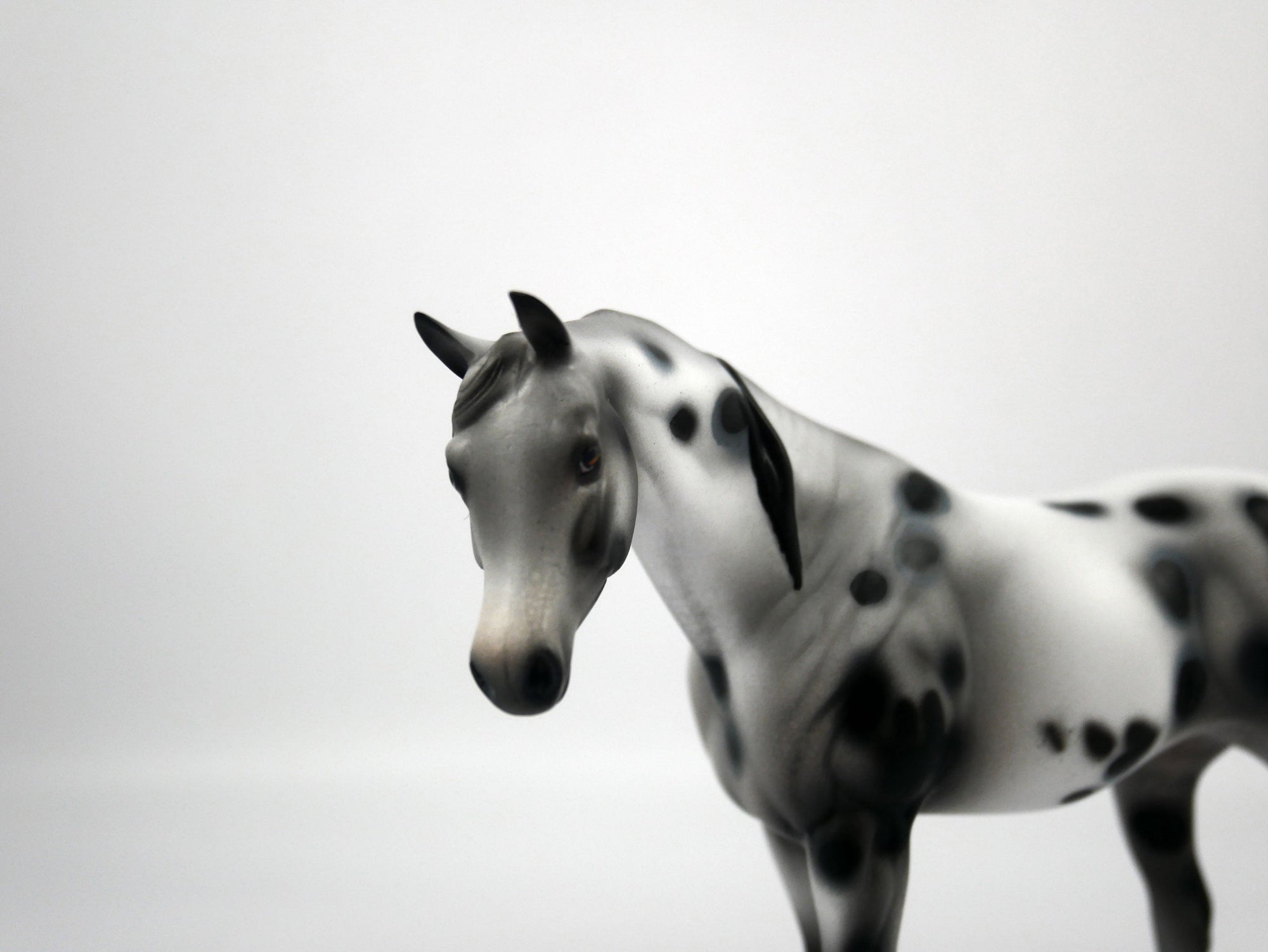 Genesis-OOAK Appaloosa Pebbles Arabian Mare 1/8/21